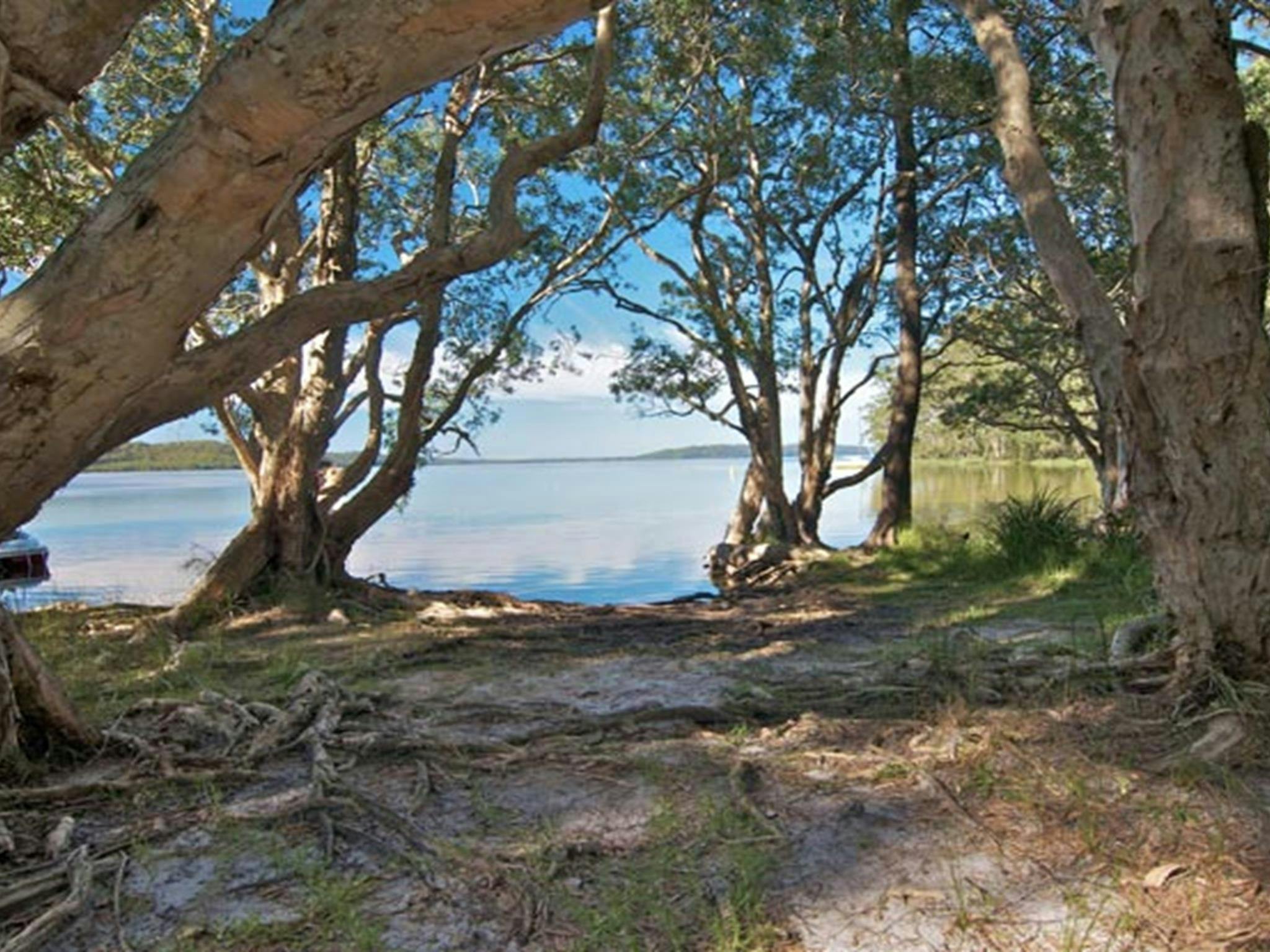 Neranie campground clearing, Myall Lakes National Park. Photo: John Spencer/DPIE