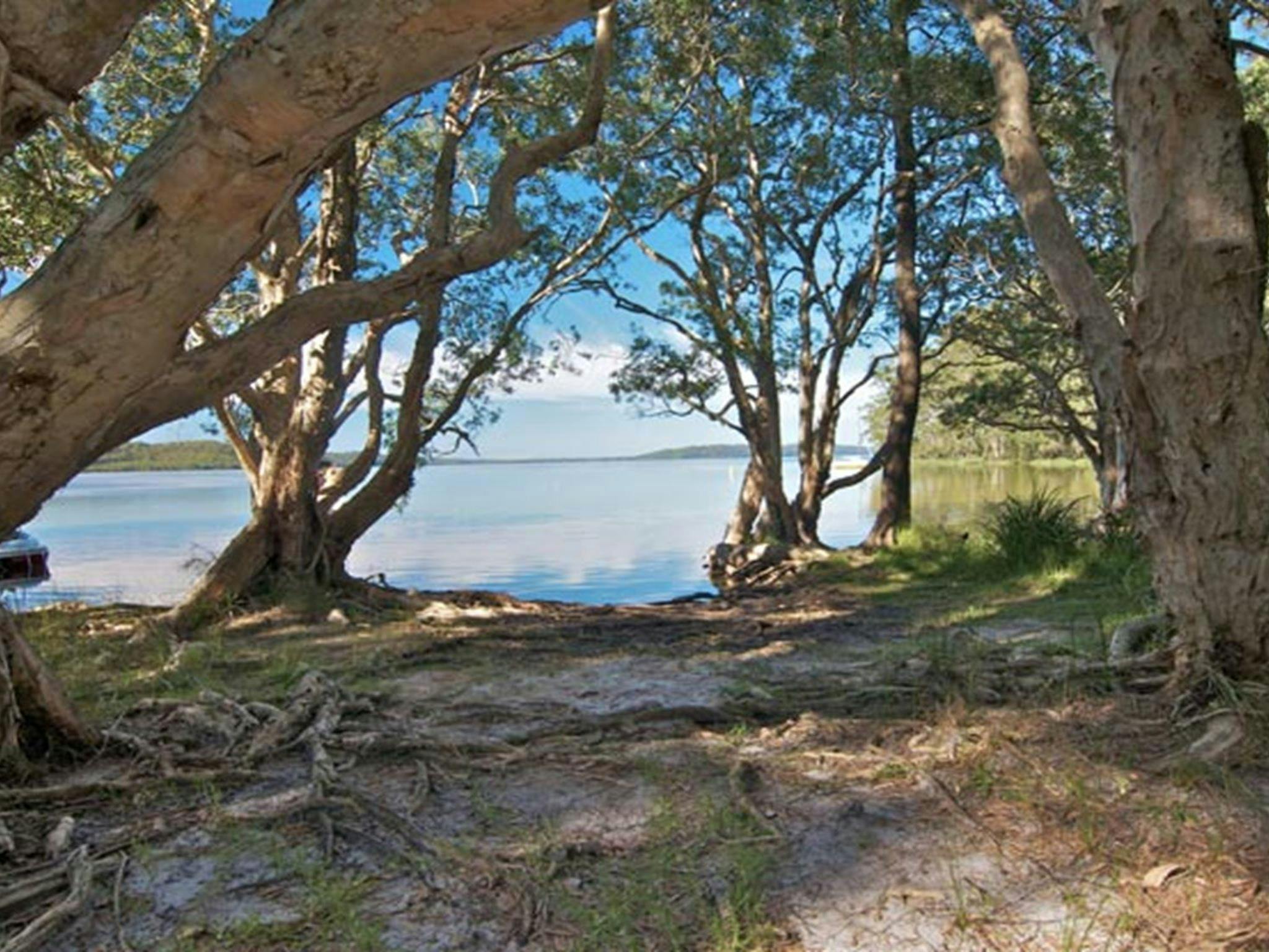 Neranie campground clearing, Myall Lakes National Park. Photo: John Spencer/DPIE