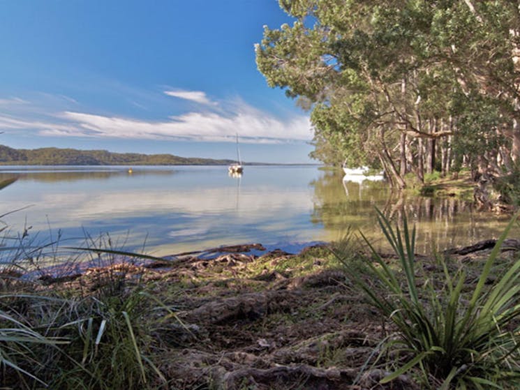 Neranie campground waters, Myall Lakes National Park. Photo: John Spencer/DPIE