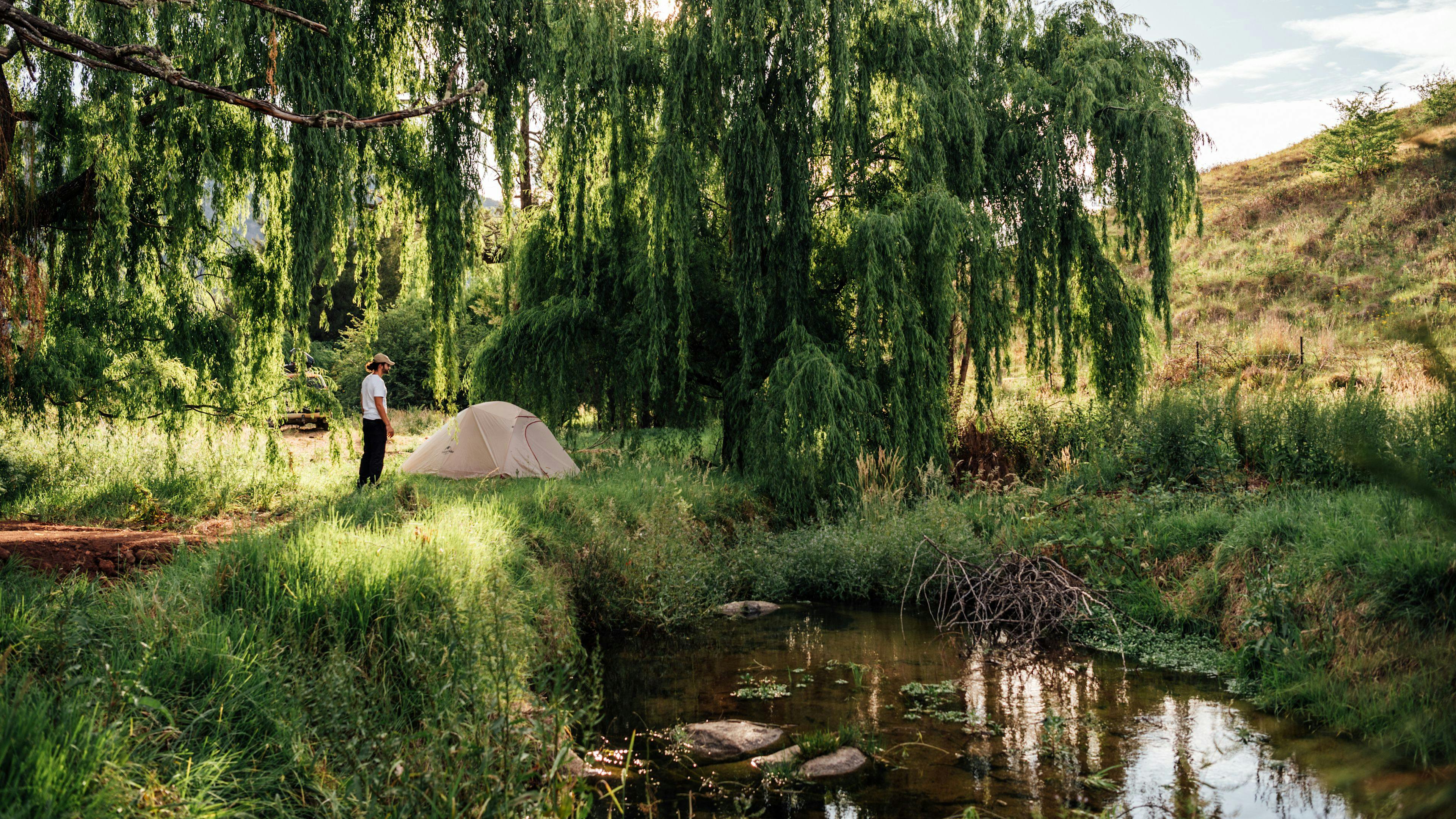 Our creek side campsite underneath the willows.