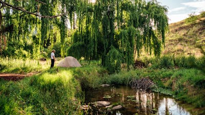 Our creek side campsite underneath the willows.
