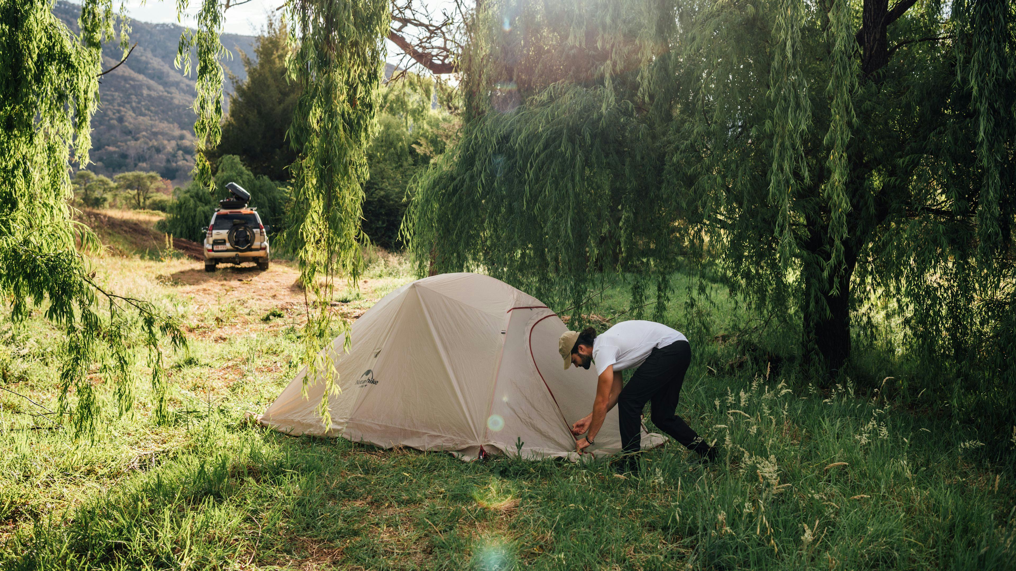 Setting up our tent under the weeping willows.