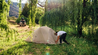 Setting up our tent under the weeping willows.