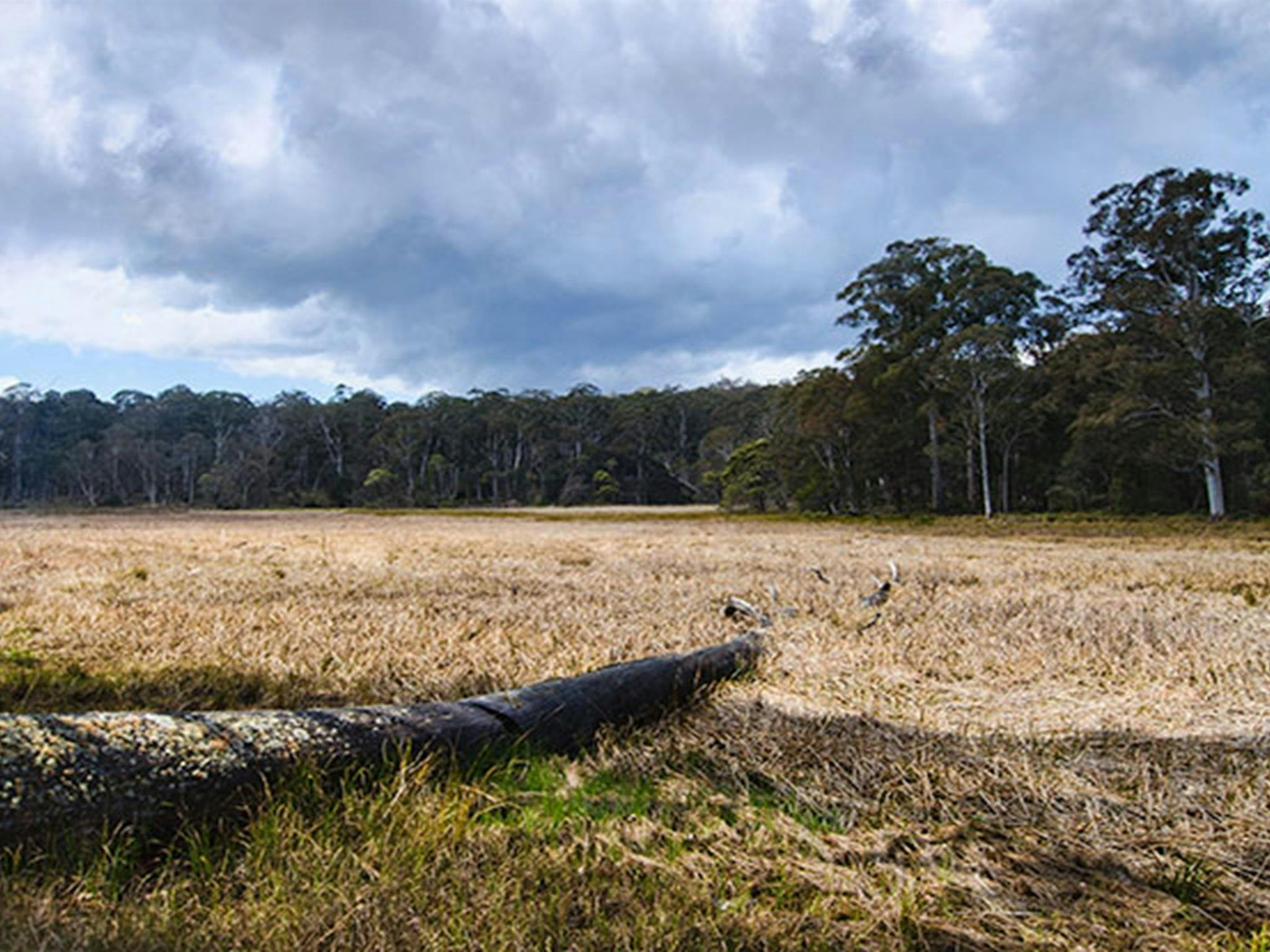 New Country Swamp Campingplatz