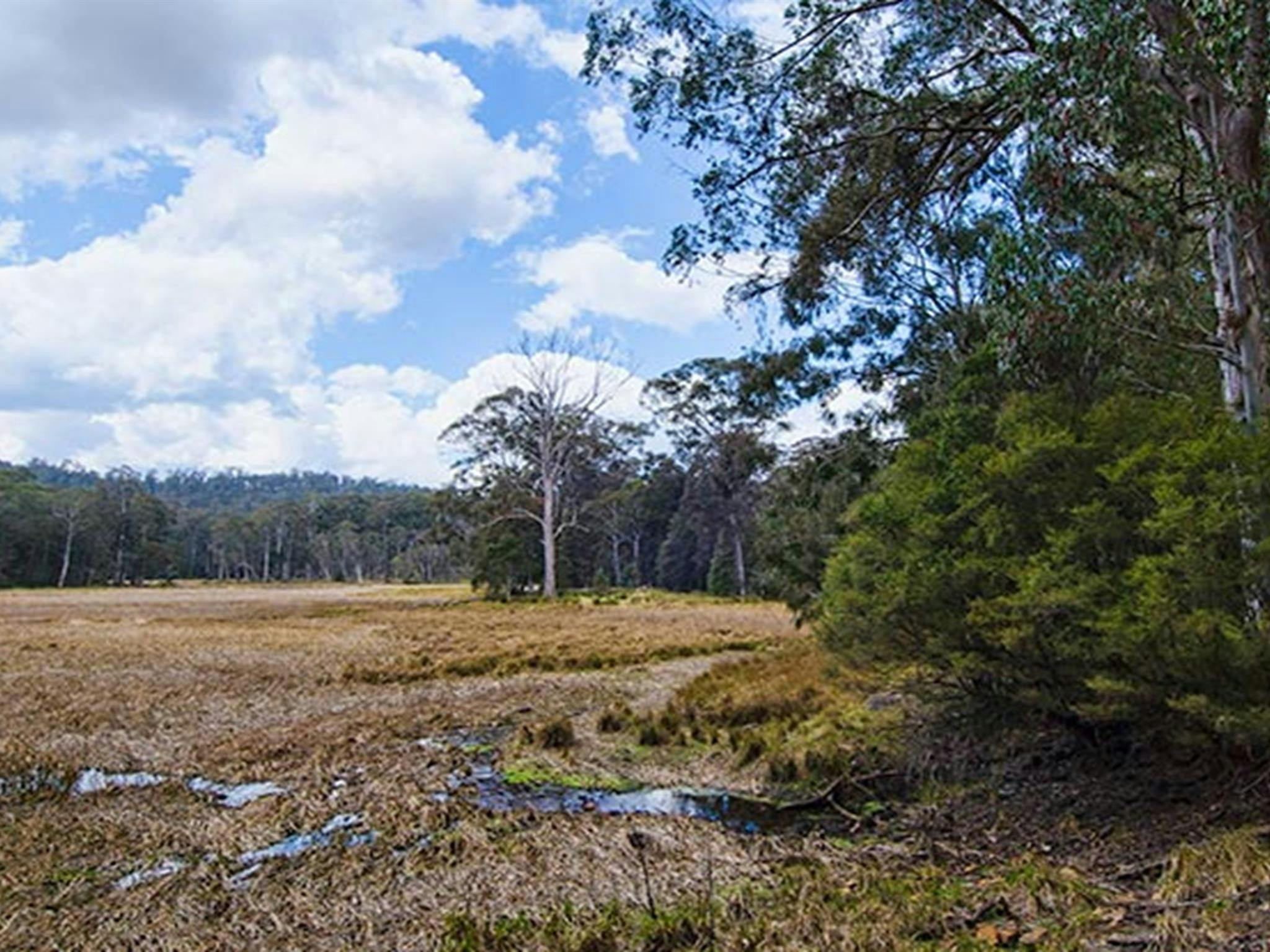 Mummel Gulf Nationalpark, New Country Swamp. Foto: John Spencer/Regierung von New South Wales