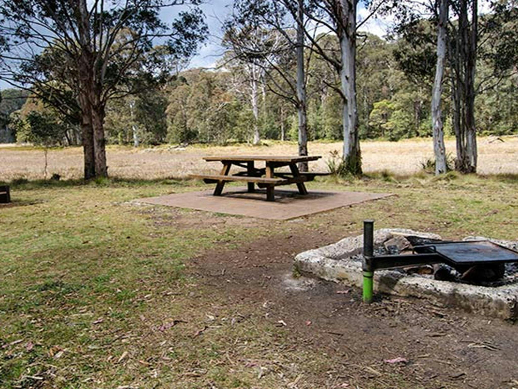 Mummel Gulf National Park, New Country Swamp. Photo: John Spencer/NSW Government