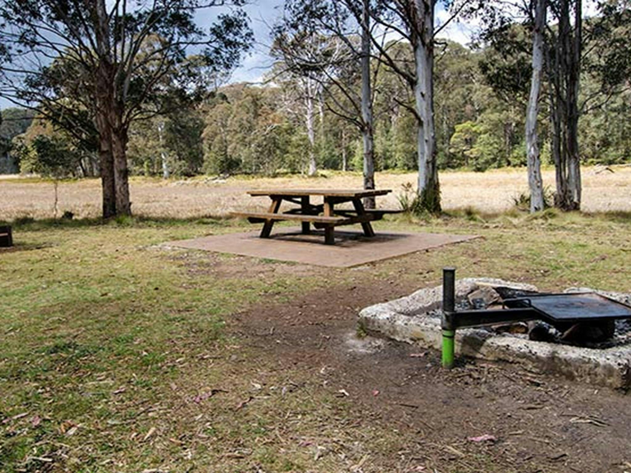 Mummel Gulf Nationalpark, New Country Swamp. Foto: John Spencer/Regierung von New South Wales