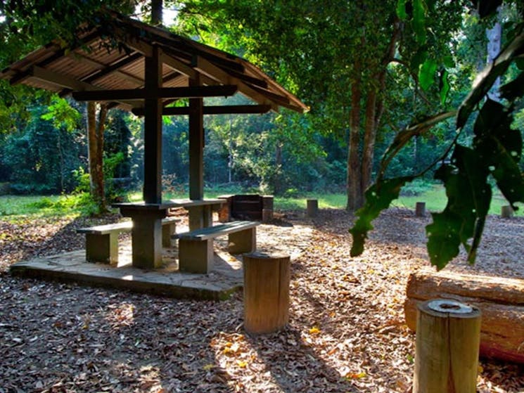 Cedar Park picnic area, Ngambaa Nature Reserve. Photo: Robert Cleary &copy; DPIE