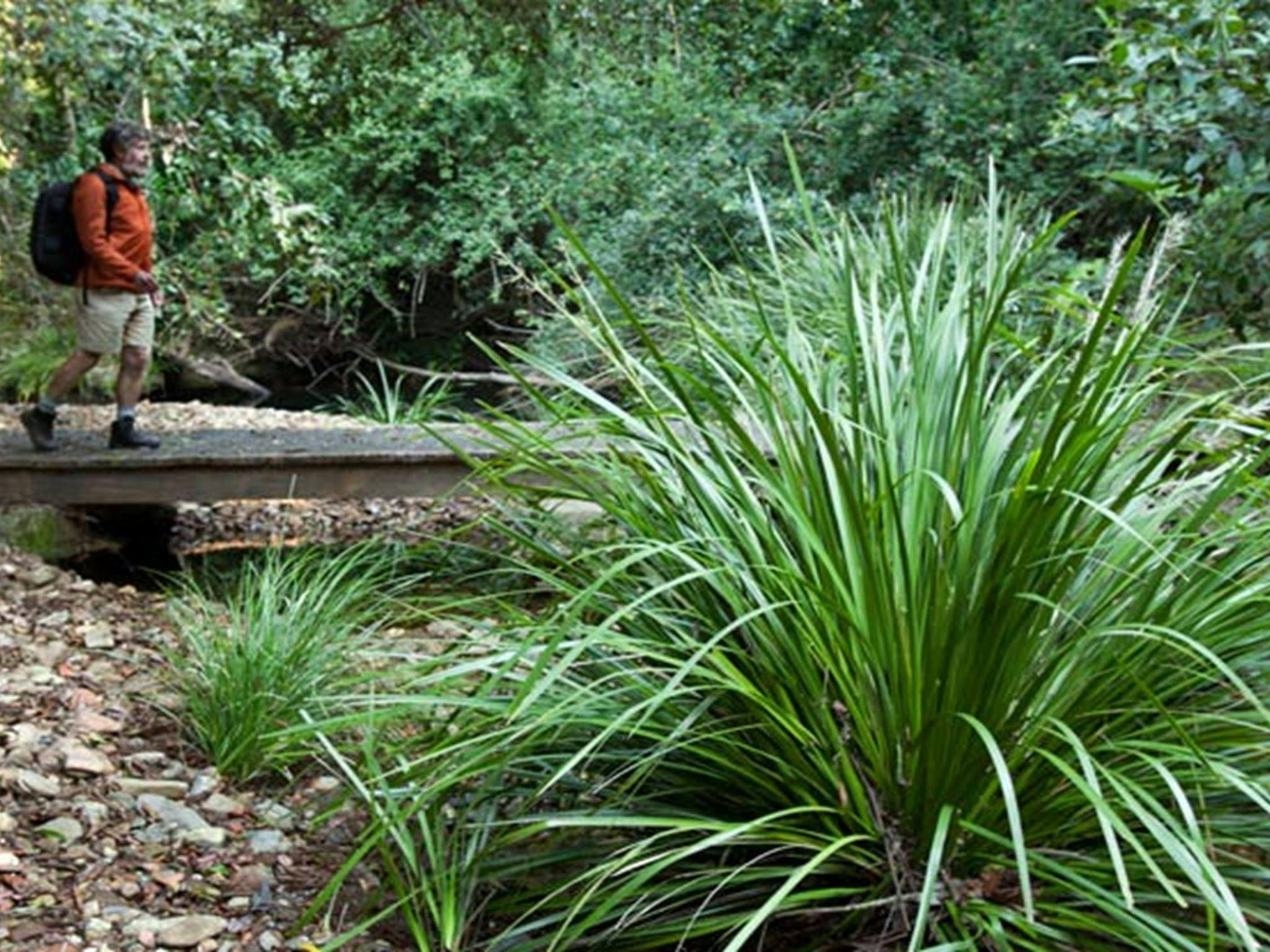 Ngambaa-Naturreservat