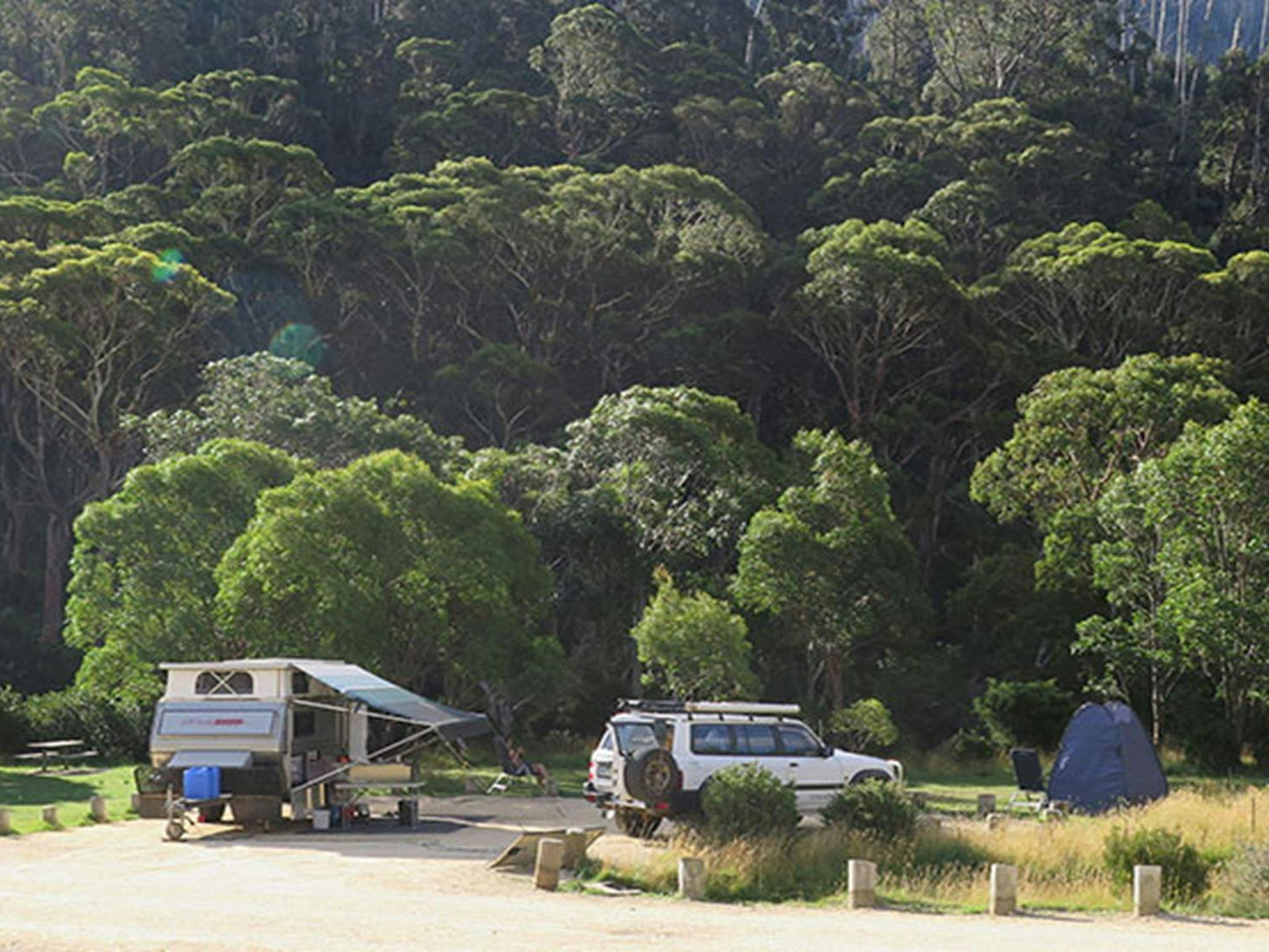Camping at Ngarigo campground, Kosciuszko National Park. Photo: E Sheargold/OEH