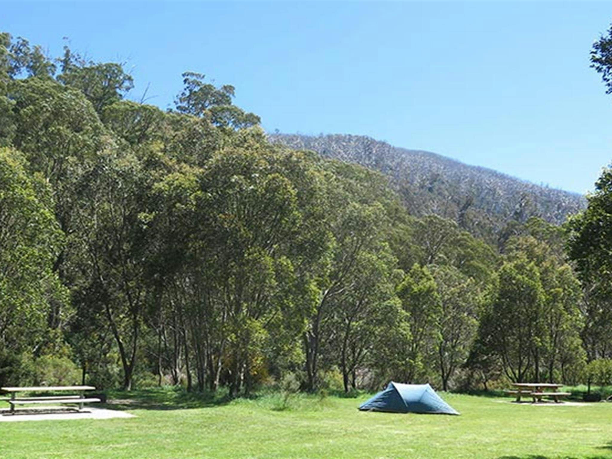 Tent at Ngarigo campground, Kosciuszko National Park. Photo: E Sheargold/OEH