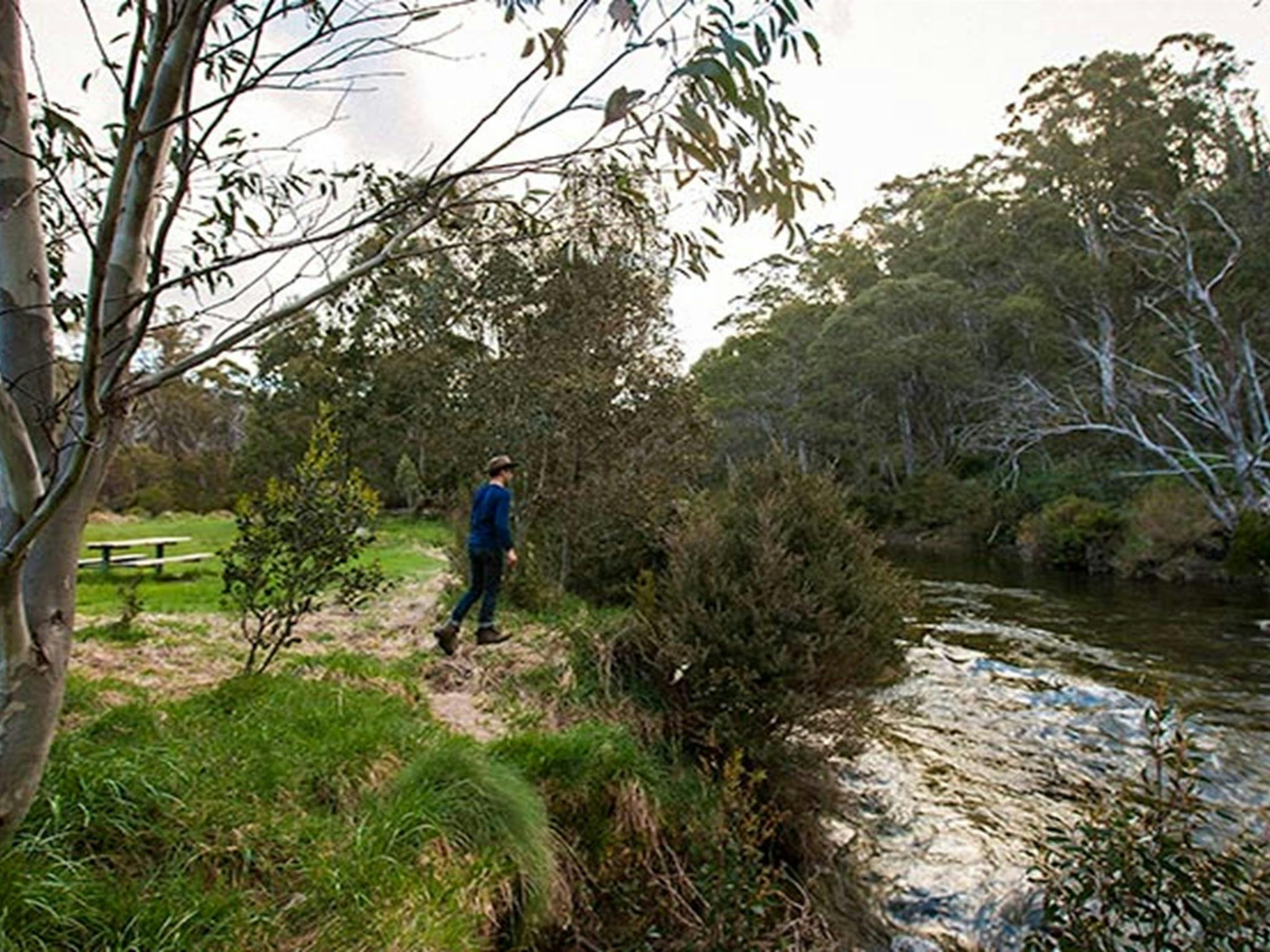 Ngarigo campground, Kosciuszko National Park. Photo: Murray Vanderveer/DPIE