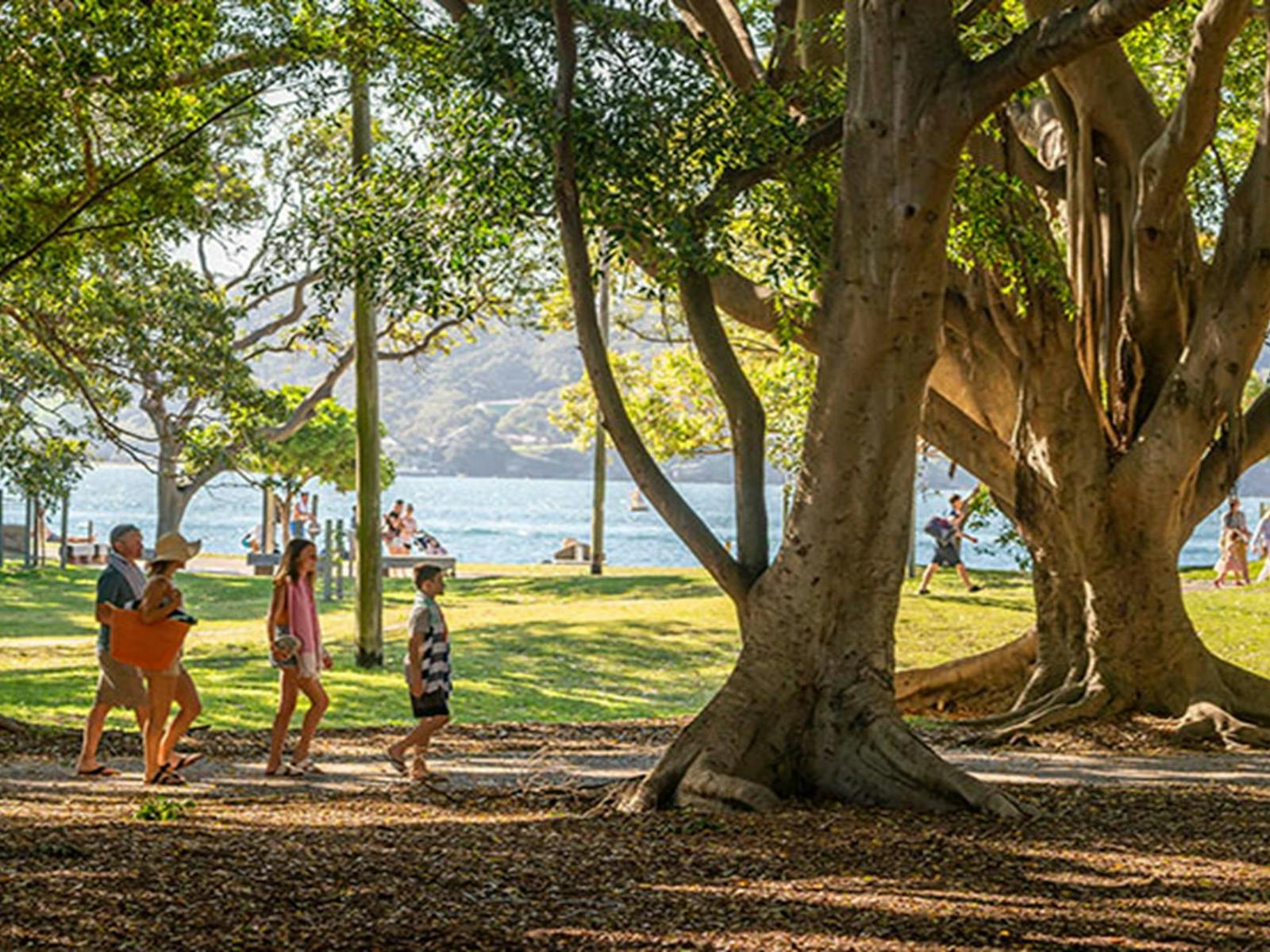 Family walking beneath huge trees in the picnic area with tranquil harbour views in the background