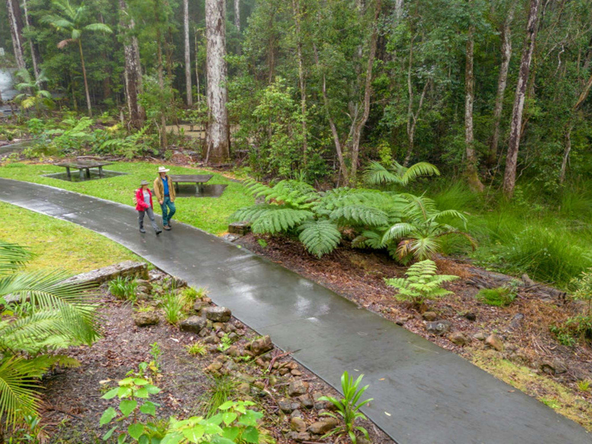 Visitors walking on paved pathway at Minyon Falls picnic area. Credit: John Spencer © DPE