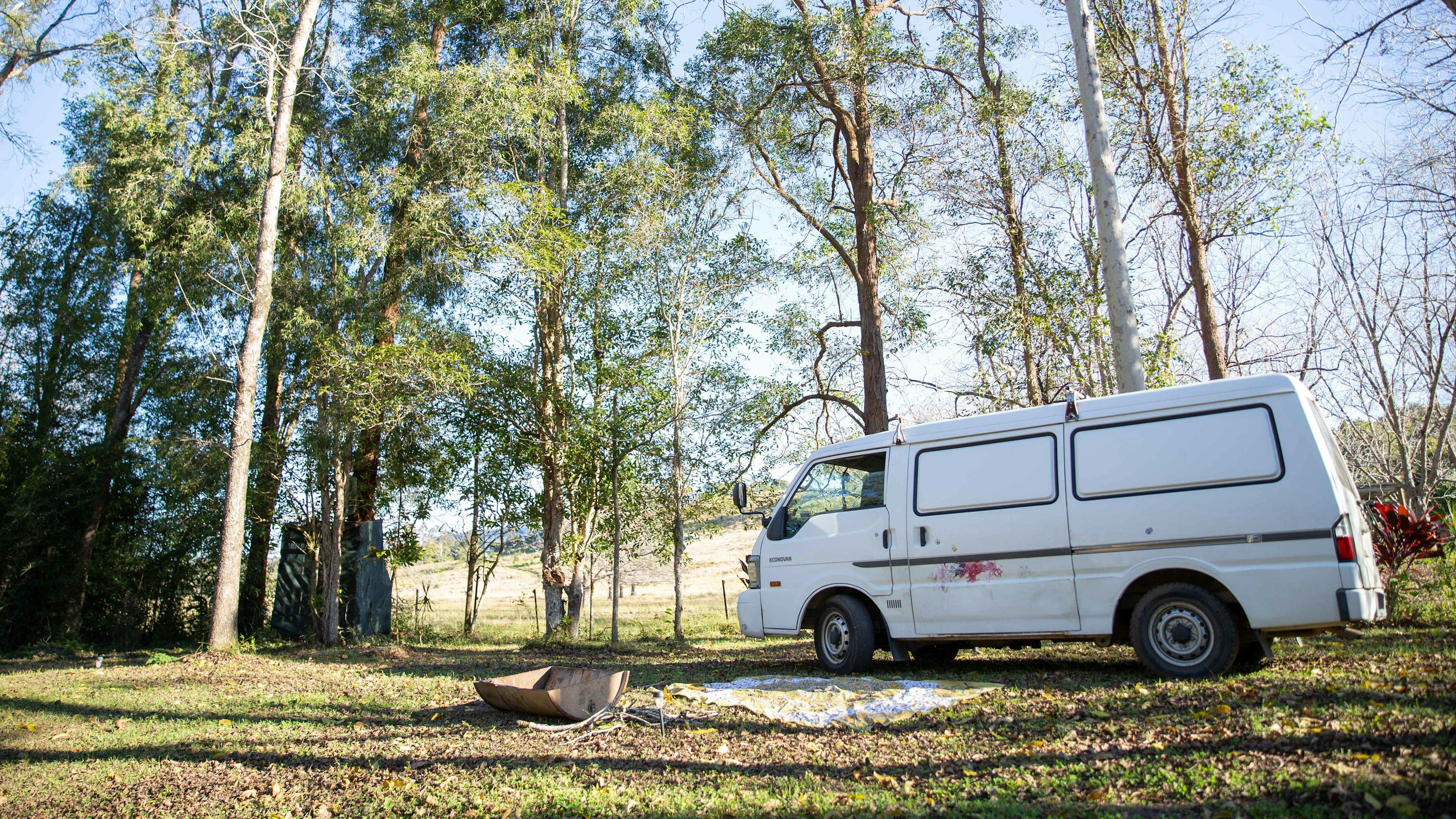 Lots of trees providing privacy from the driveway