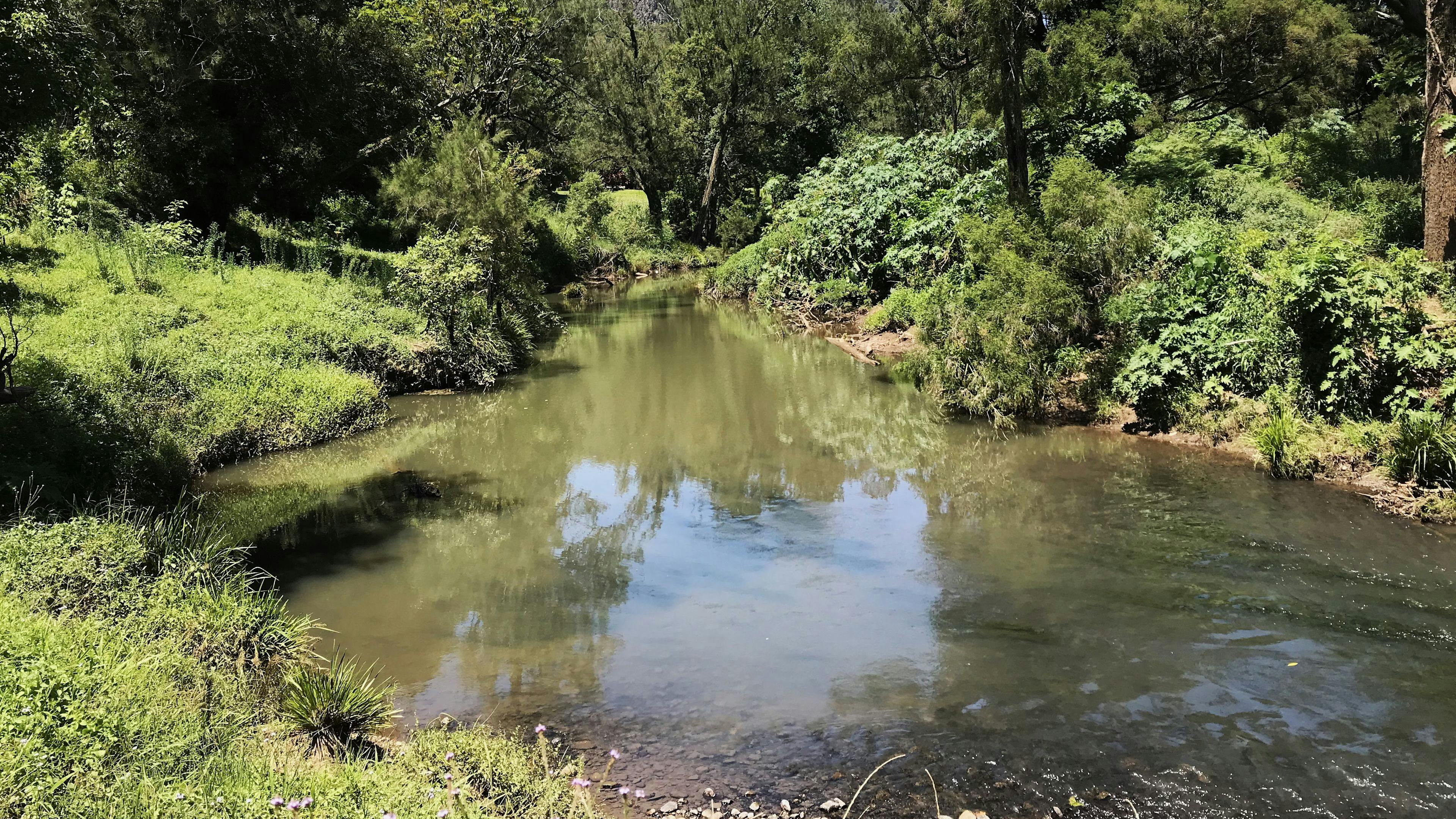 Nimbin Rocks Camping