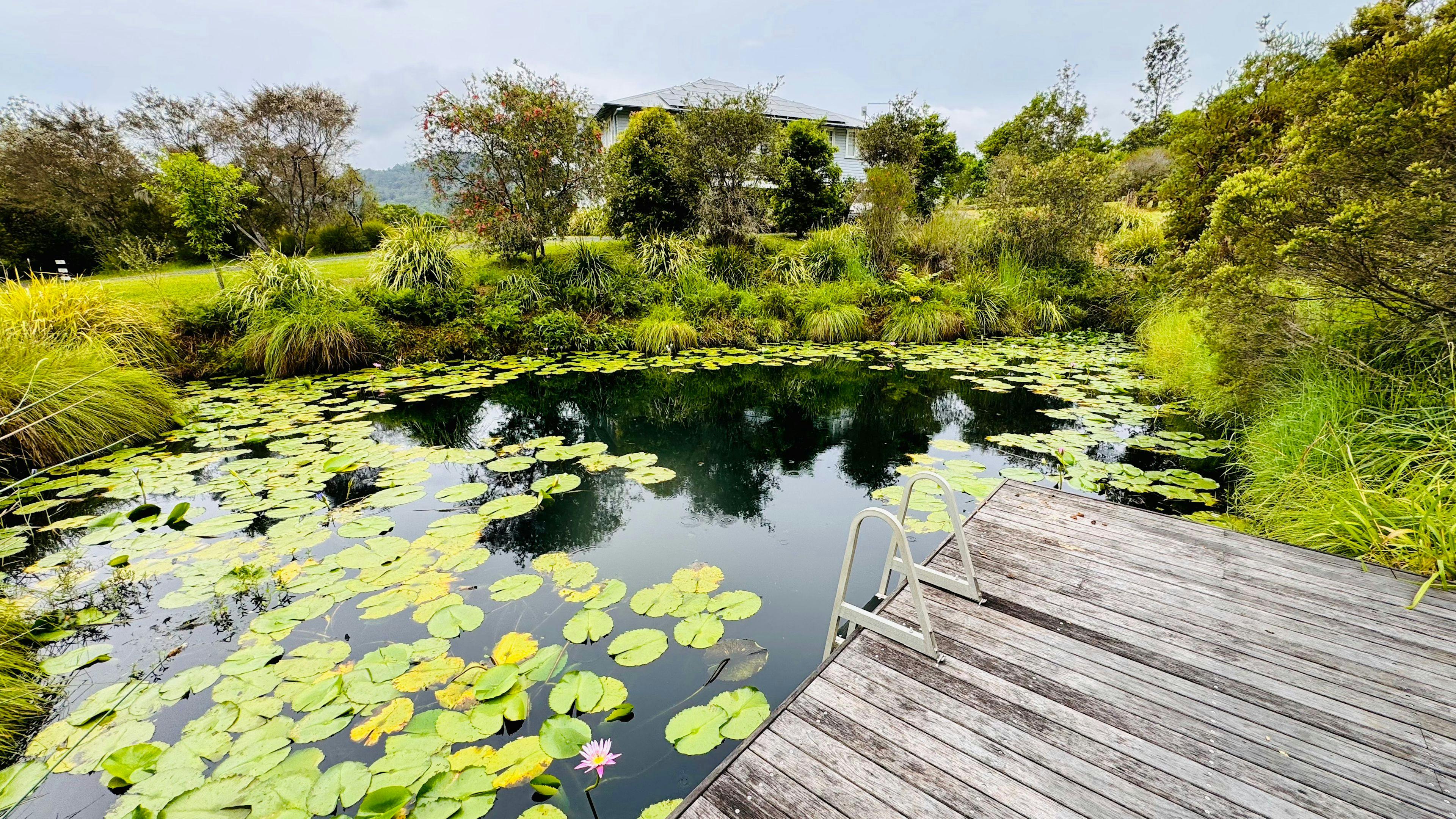 Nimbin Village Sanctuary