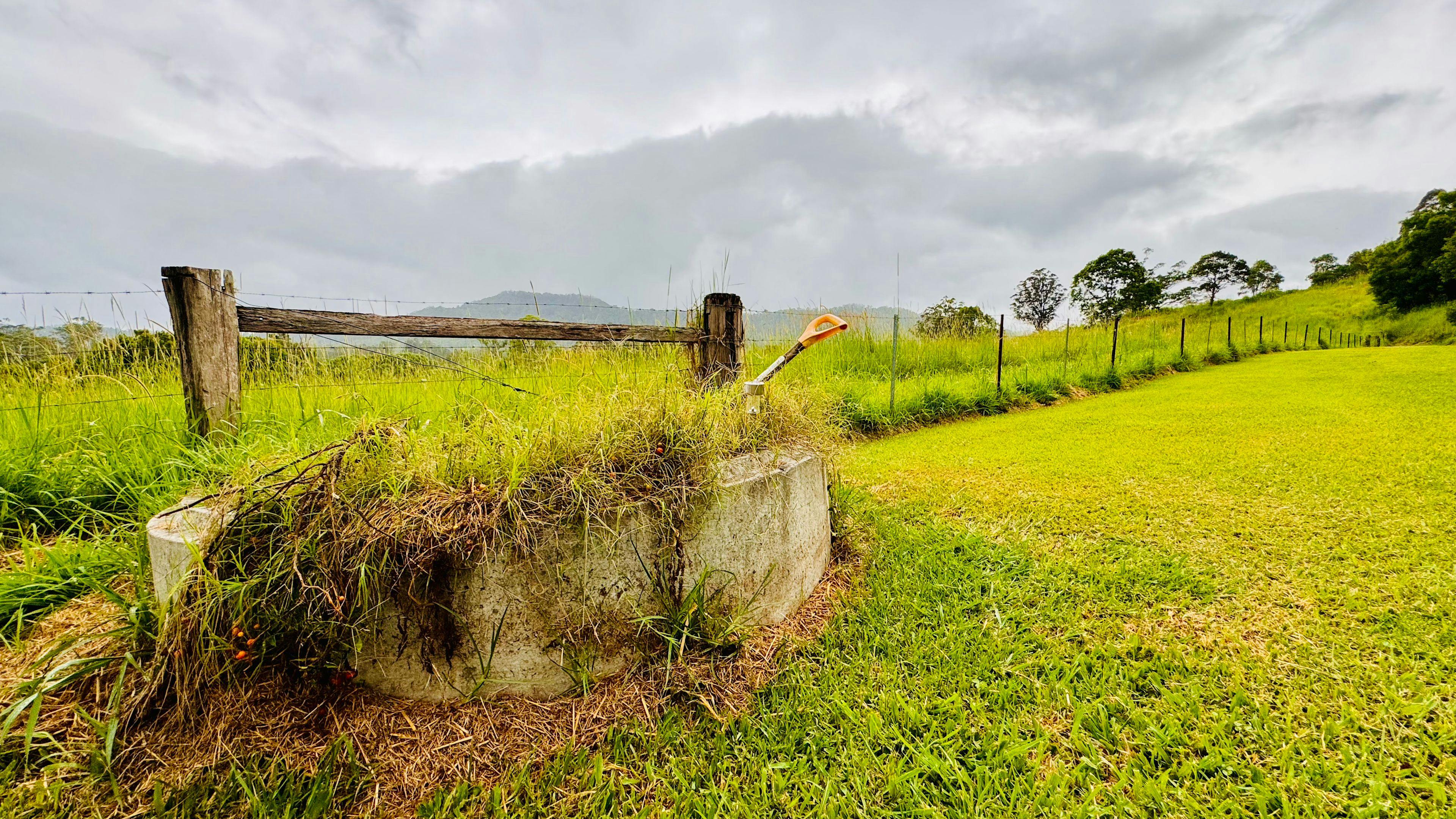 Nimbin Village Sanctuary