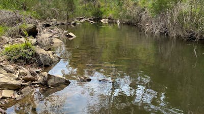 Ningee Gold Panning, Detecting