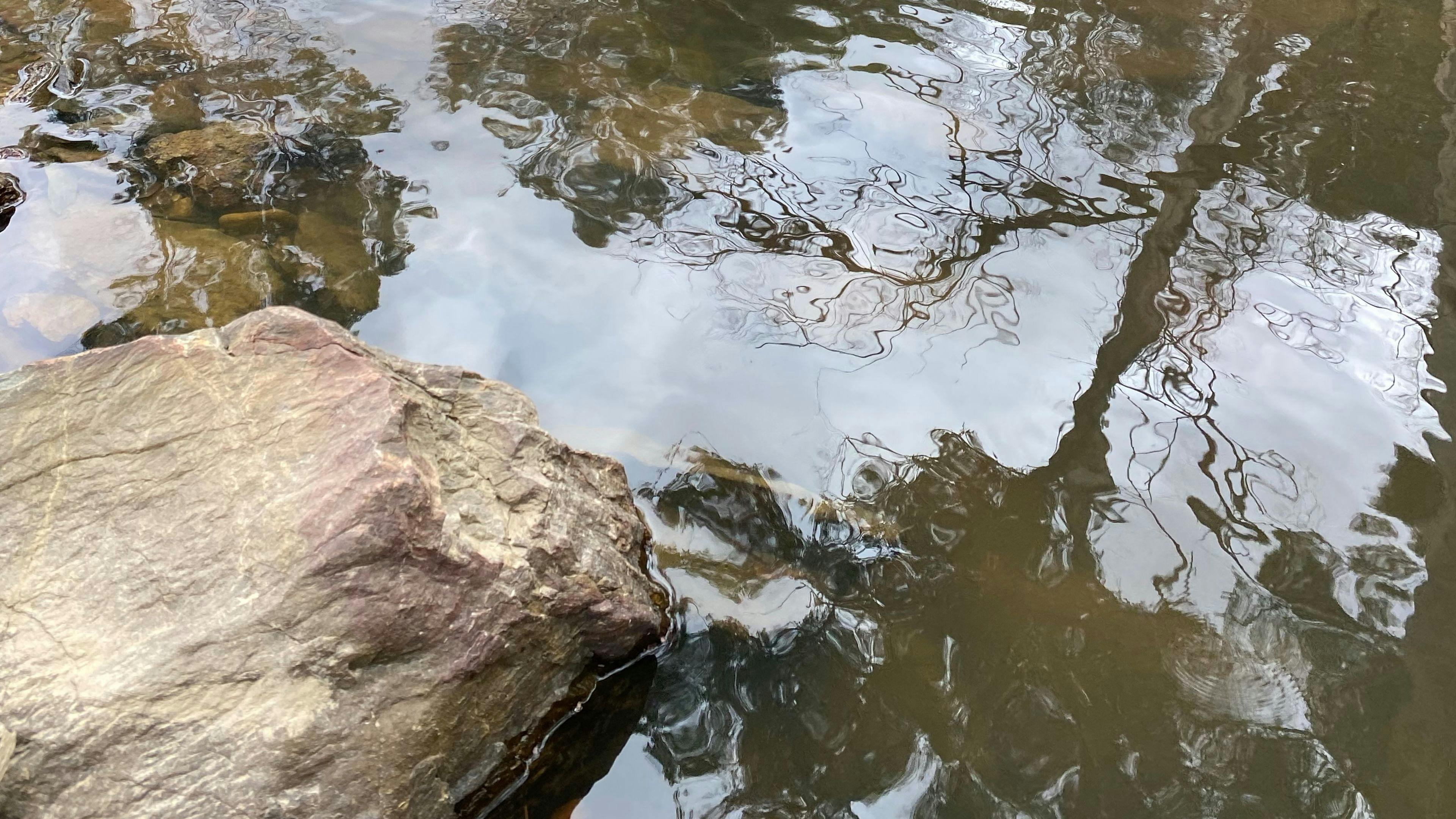 Ningee Gold Panning, Detecting