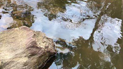 Ningee Gold Panning, Detecting