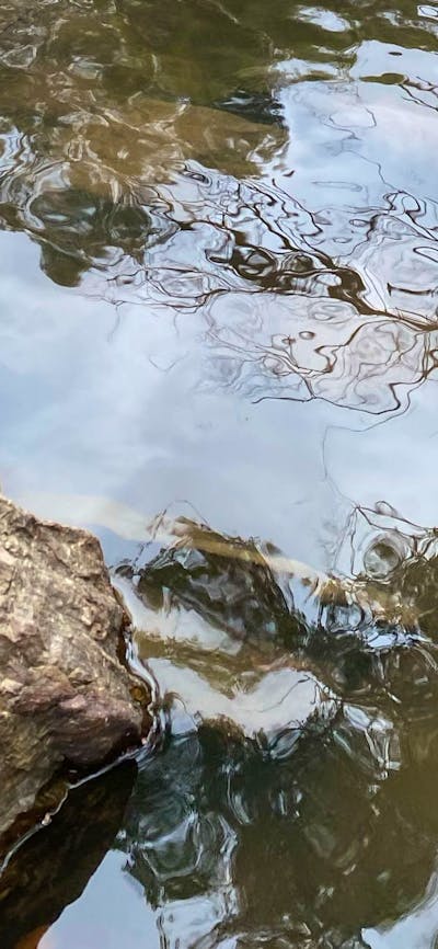Ningee Gold Panning, Detecting