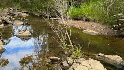 Ningee Gold Panning, Detecting