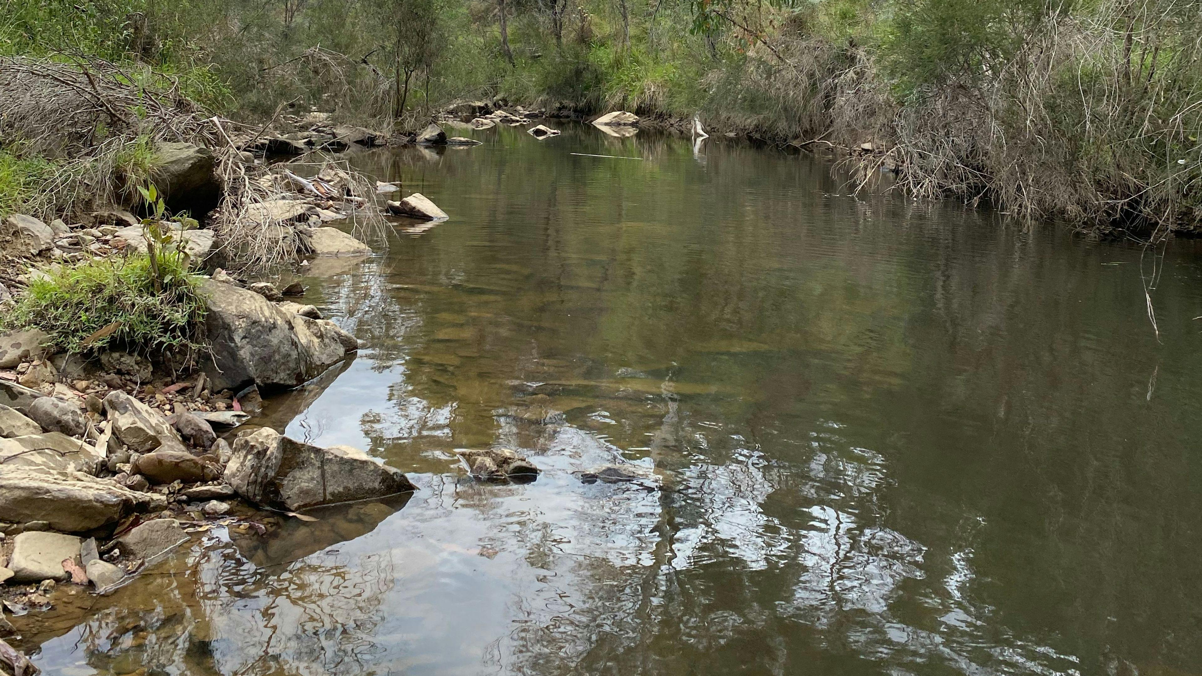 Ningee Nimbell creek Nature Camp