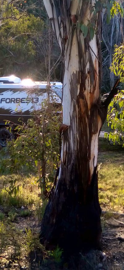 Ningee Nimbell creek Nature Camp