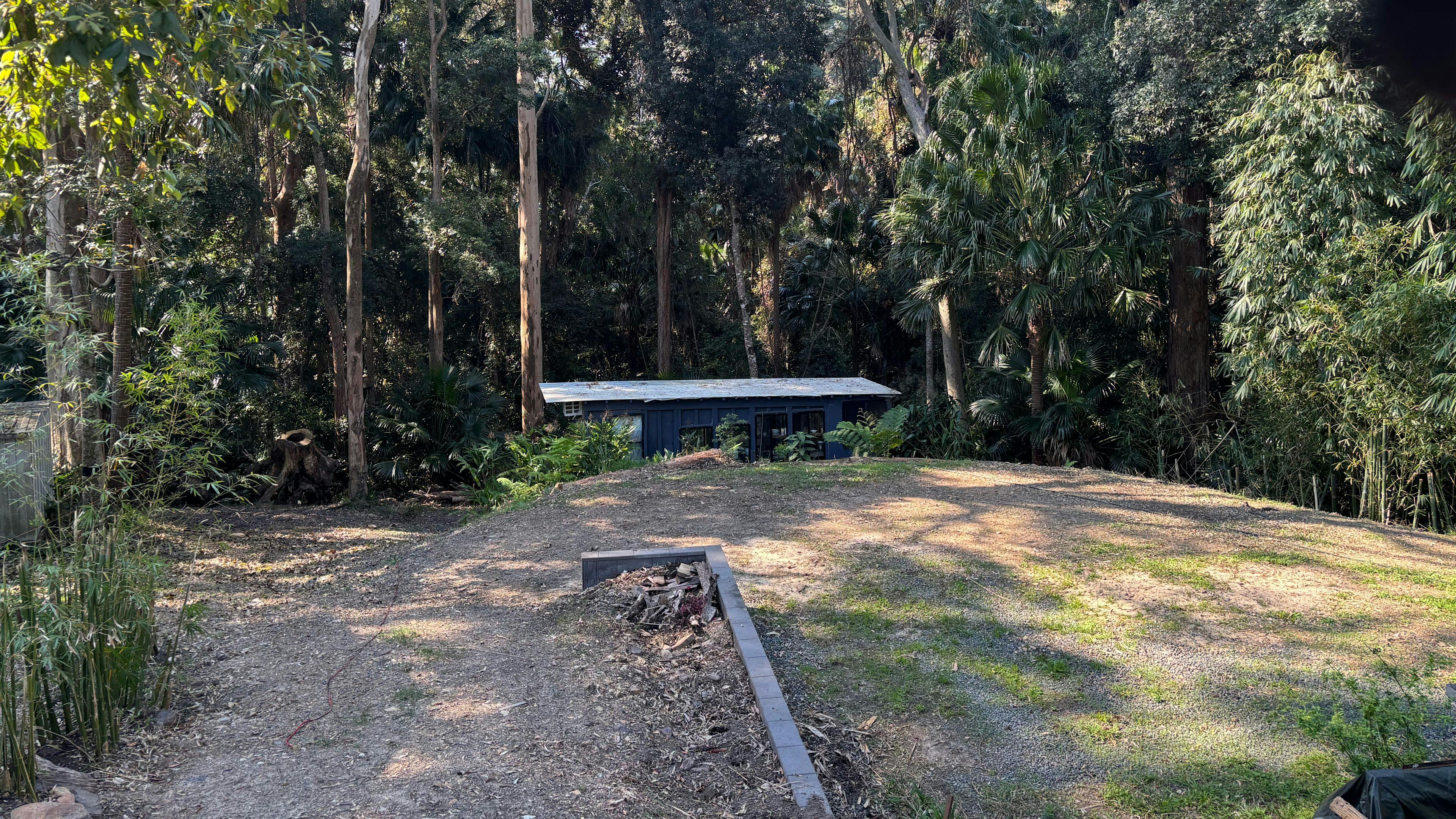 Land By Rainforest Near Lake
