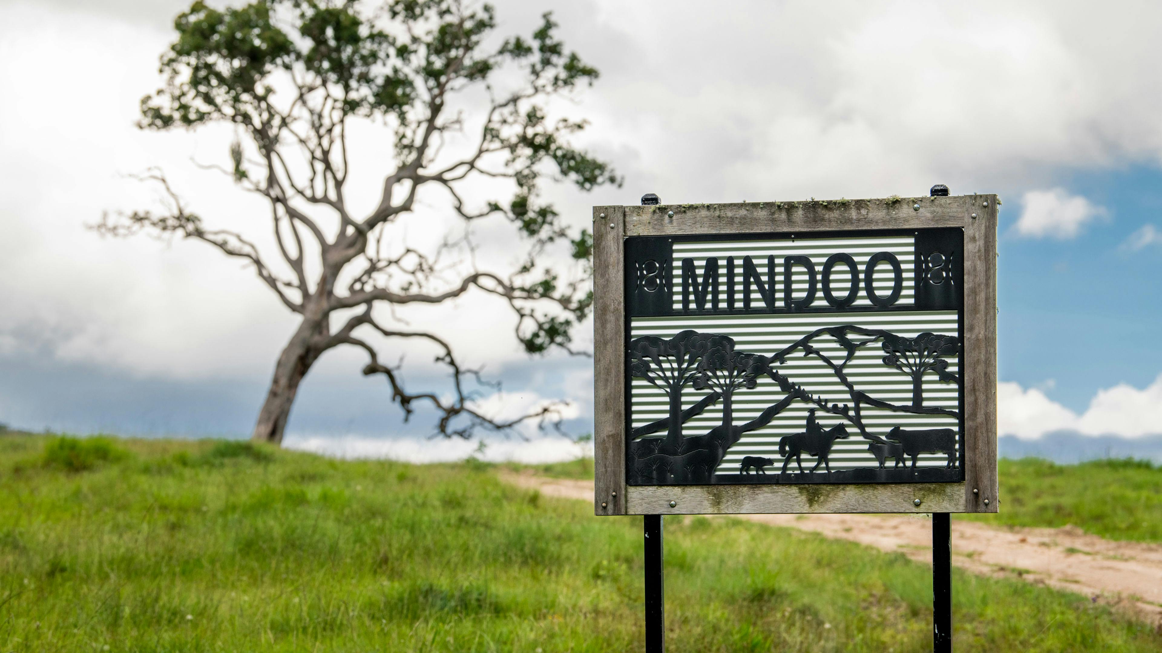 “Mindoo”
