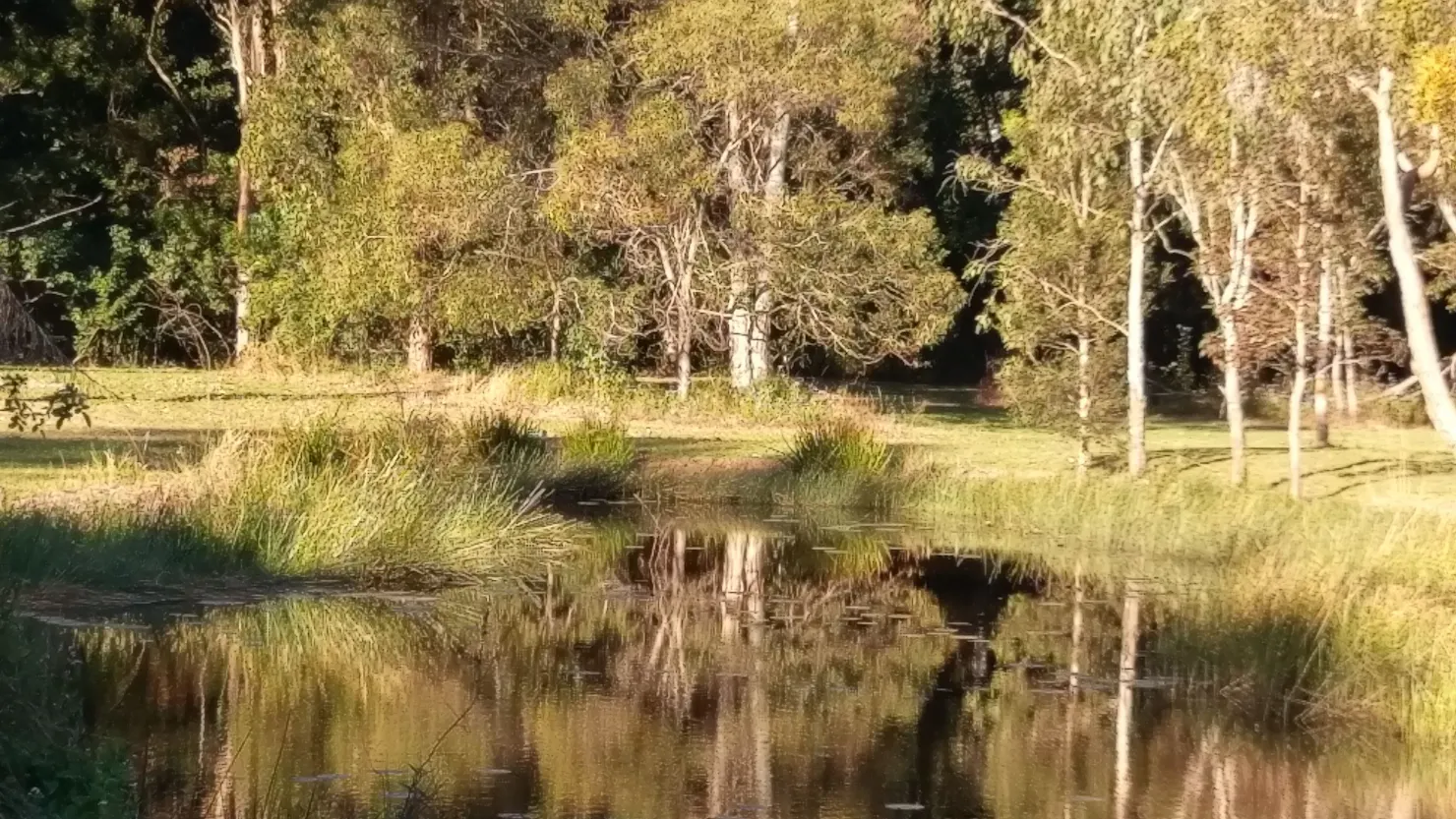 The lake,  take a Kyak out