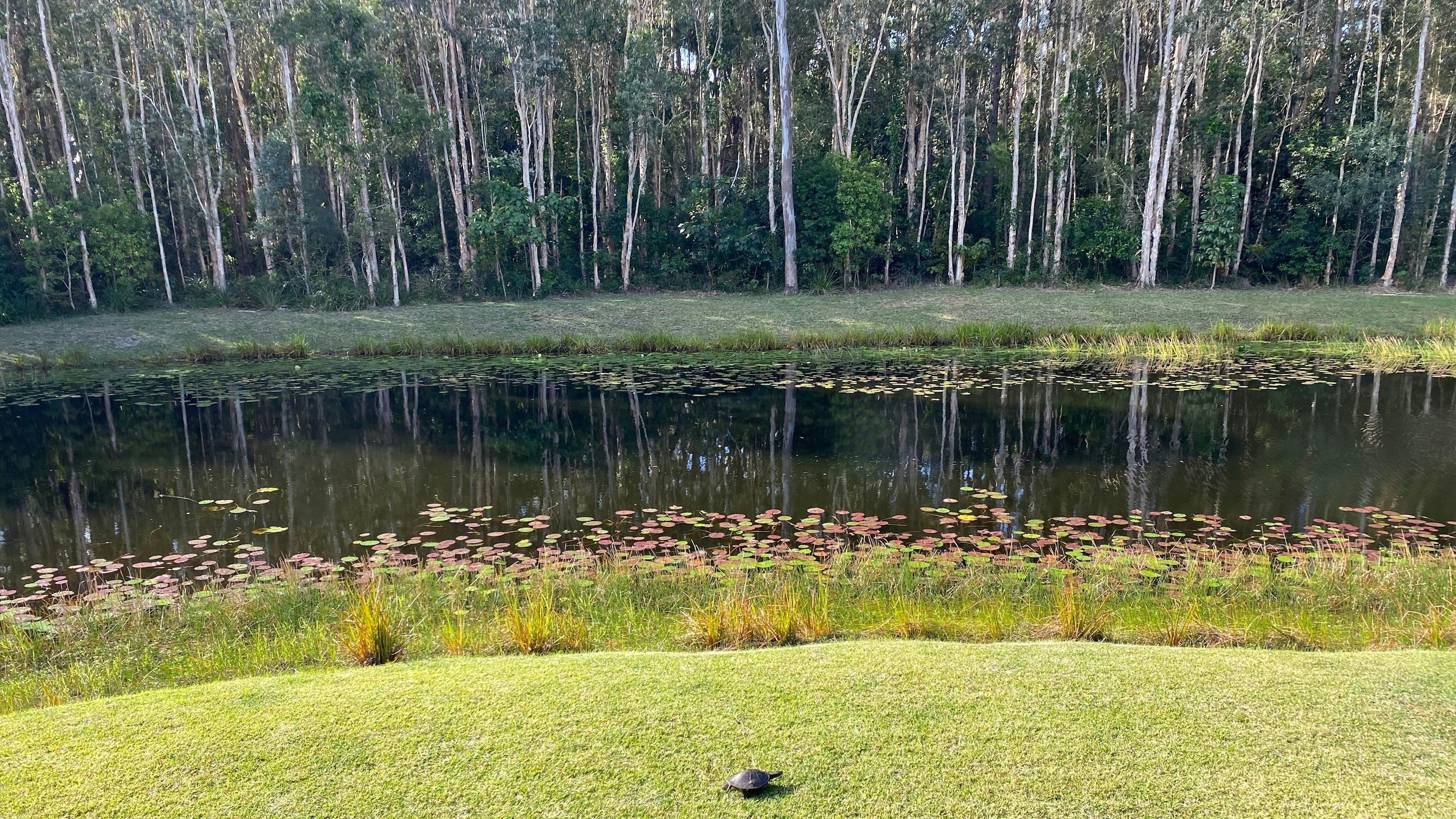 Noosa River 2 Minutes away !