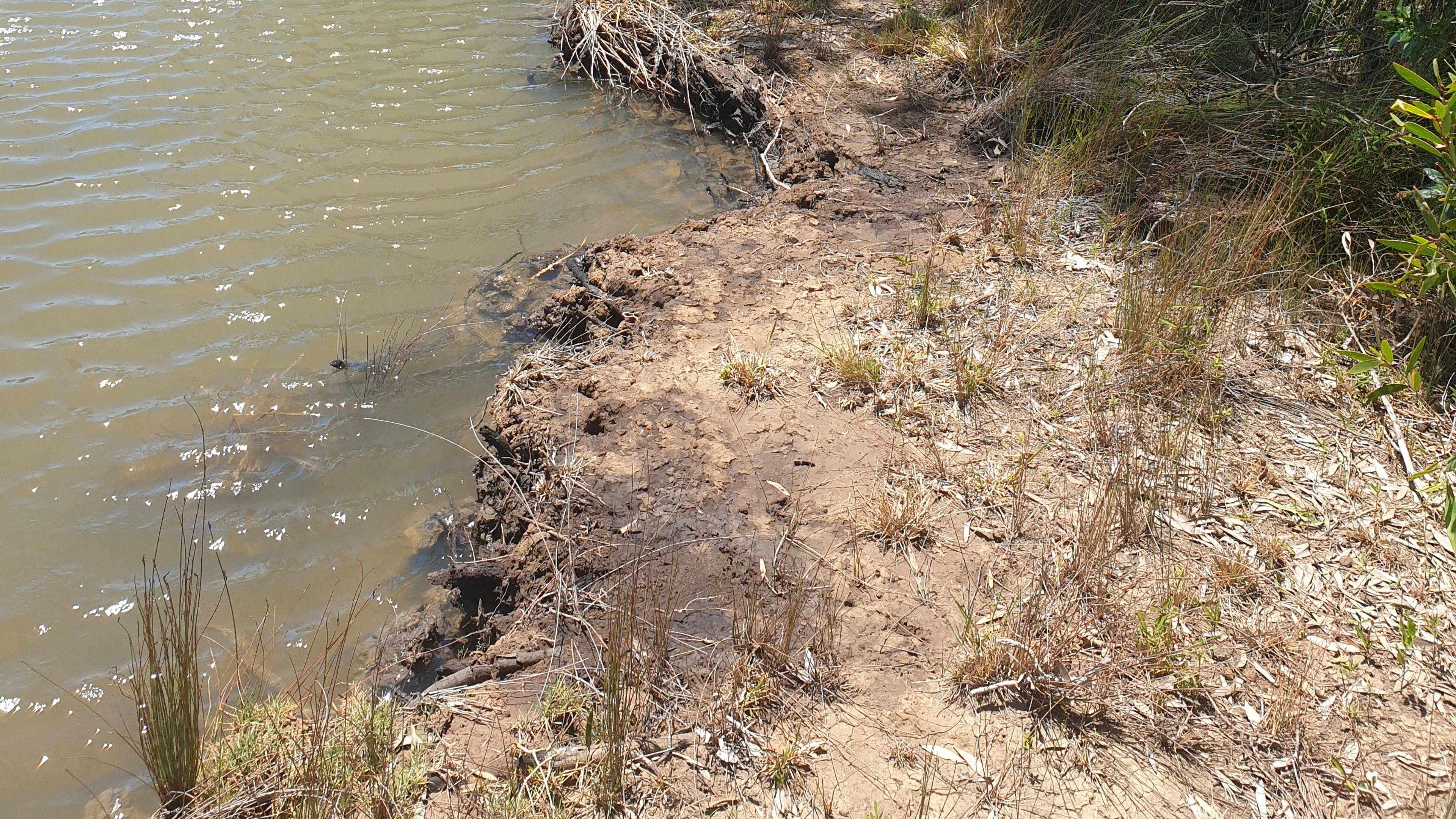 Noosa River Camping at Cooroibah