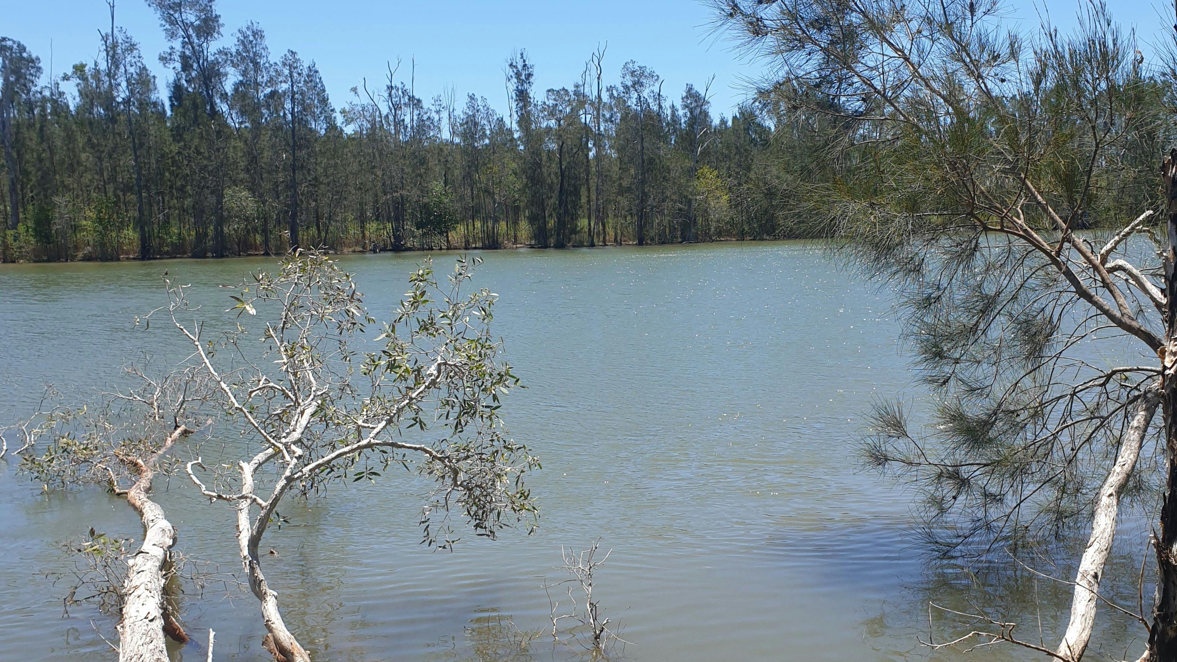 Noosa River Camping at Cooroibah