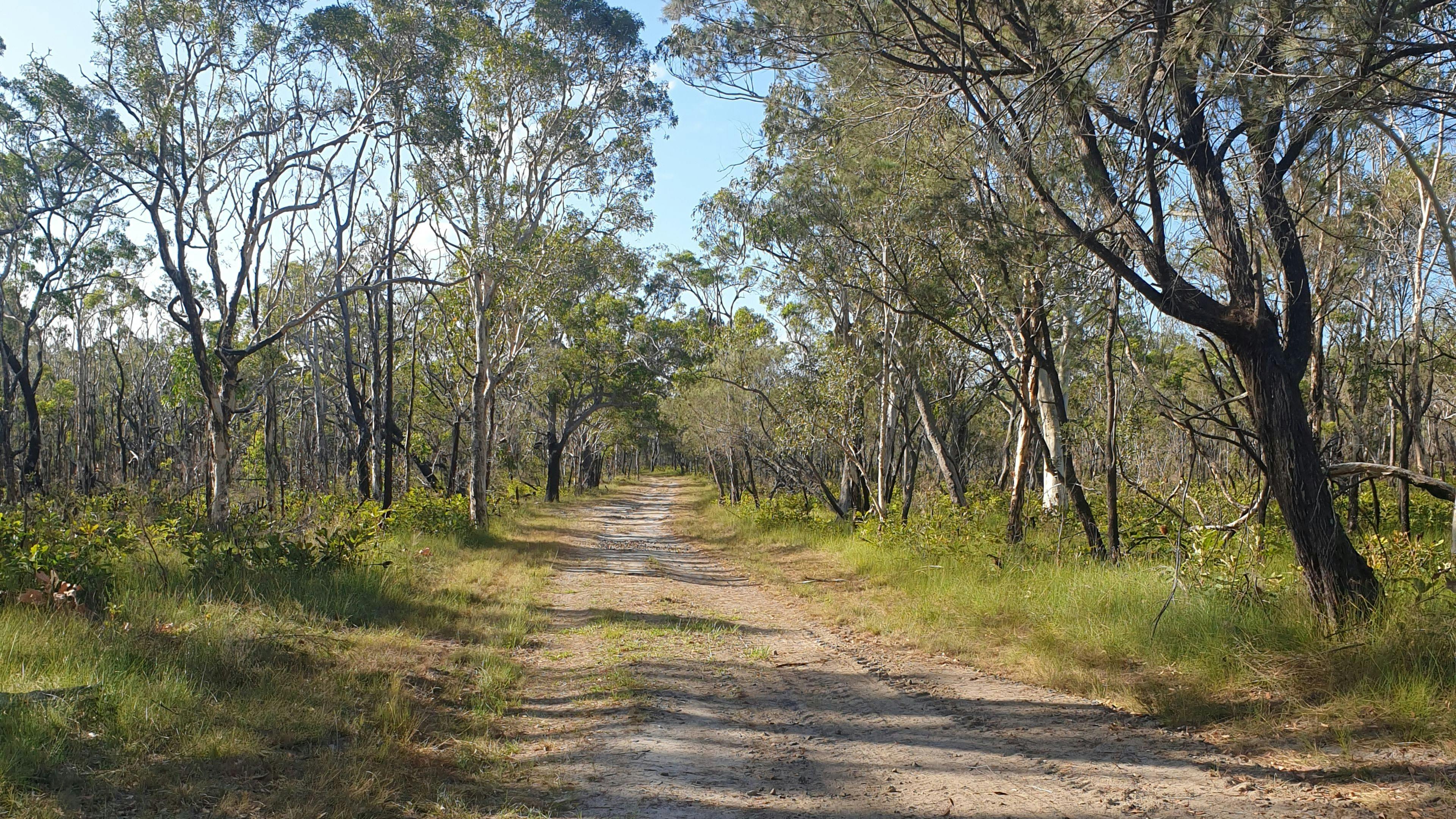 Noosa River Camping at Cooroibah