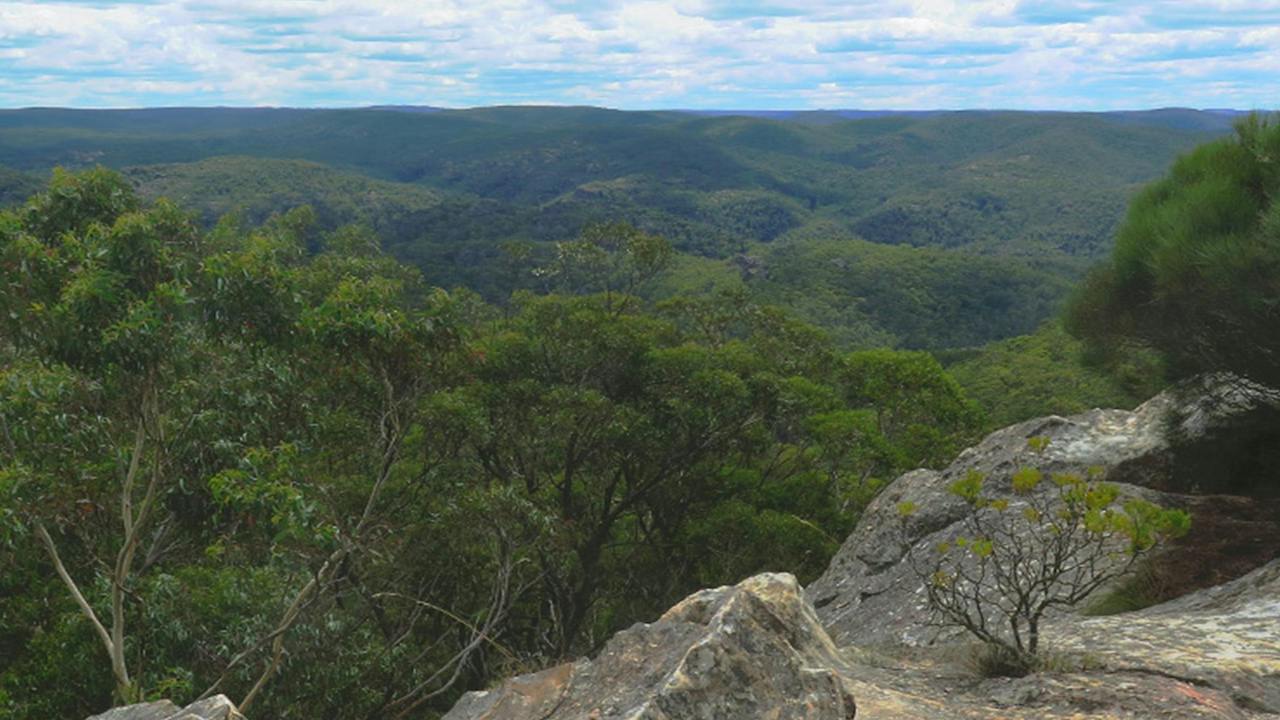 North Bowens Creek Canyon