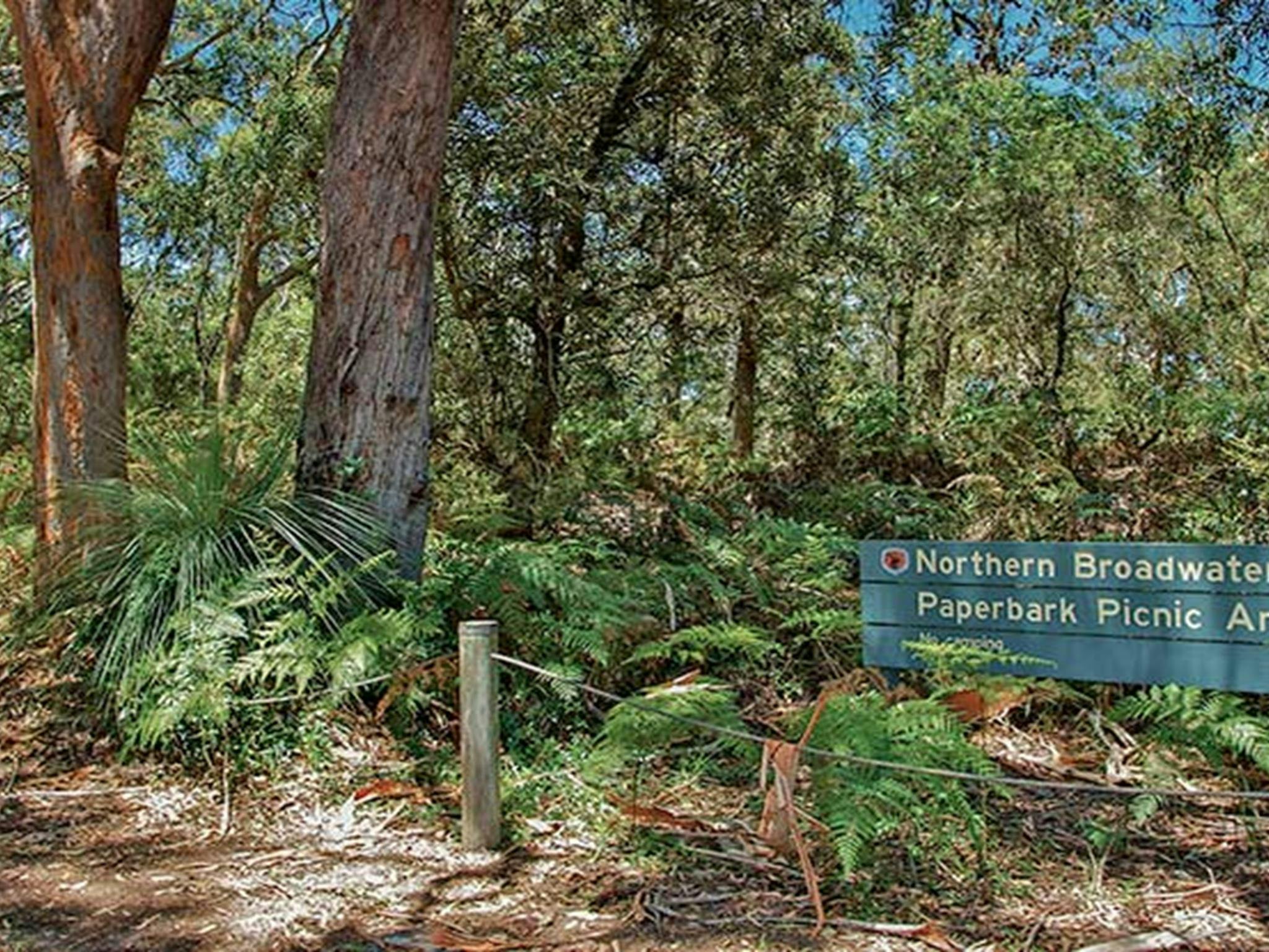 Northern Broadwater picnic area, Myall Lakes National Park. Photo: John Spencer