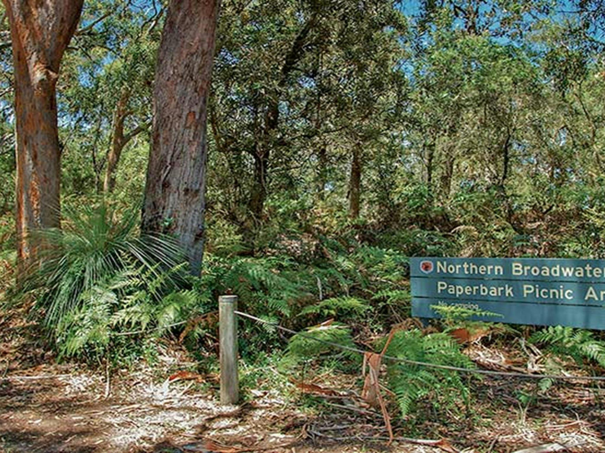 Northern Broadwater picnic area, Myall Lakes National Park. Photo: John Spencer