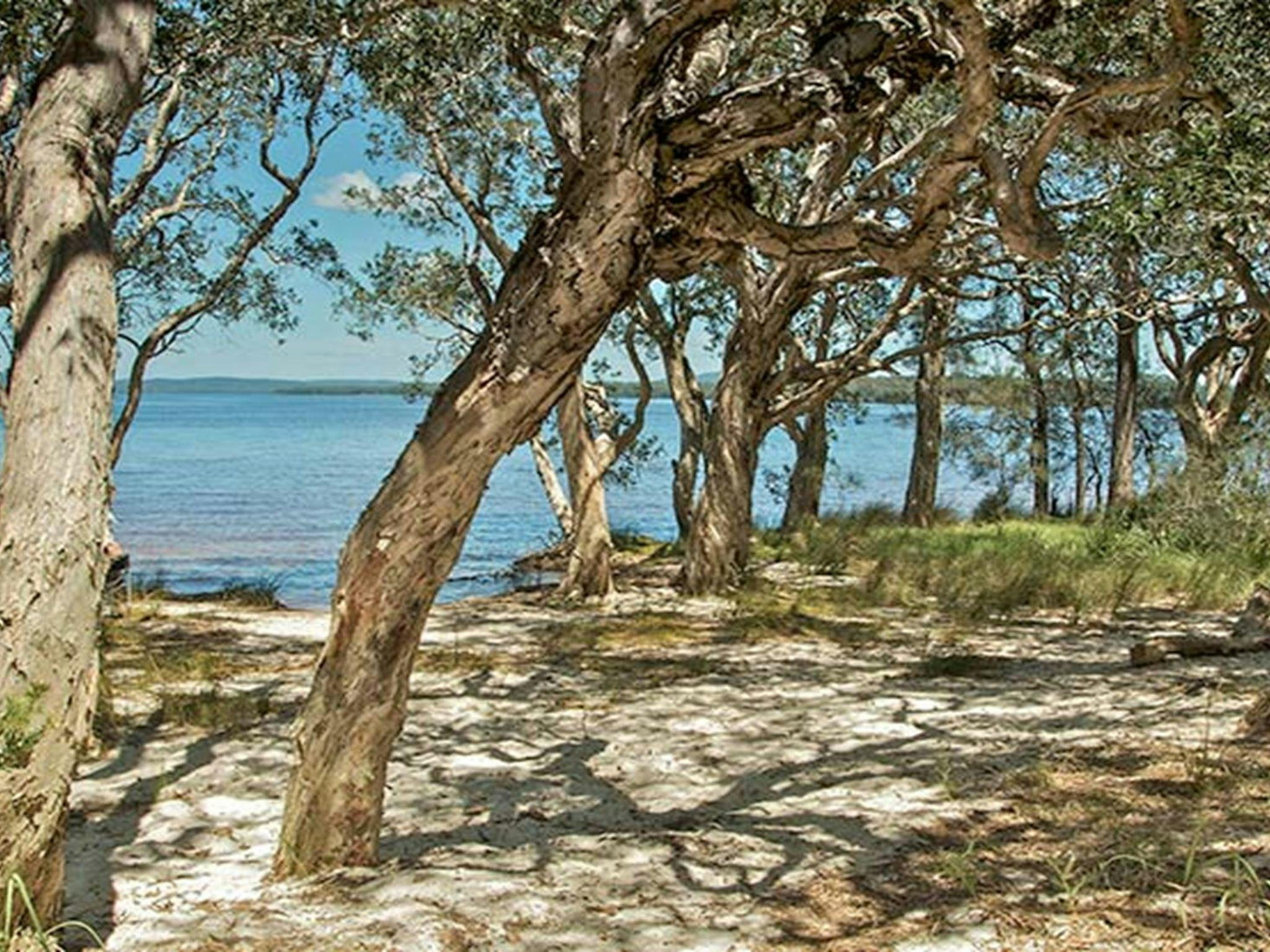 Northern Broadwater picnic area