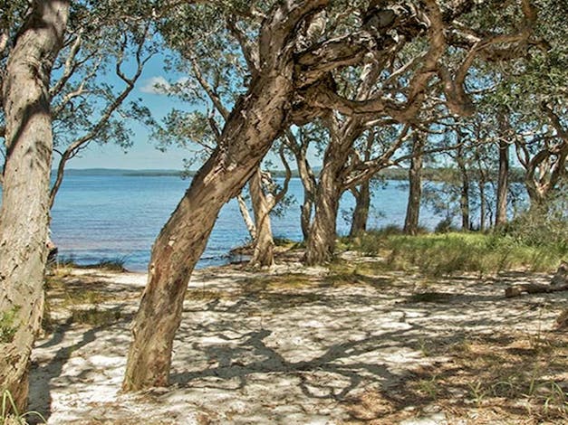Northern Broadwater picnic area