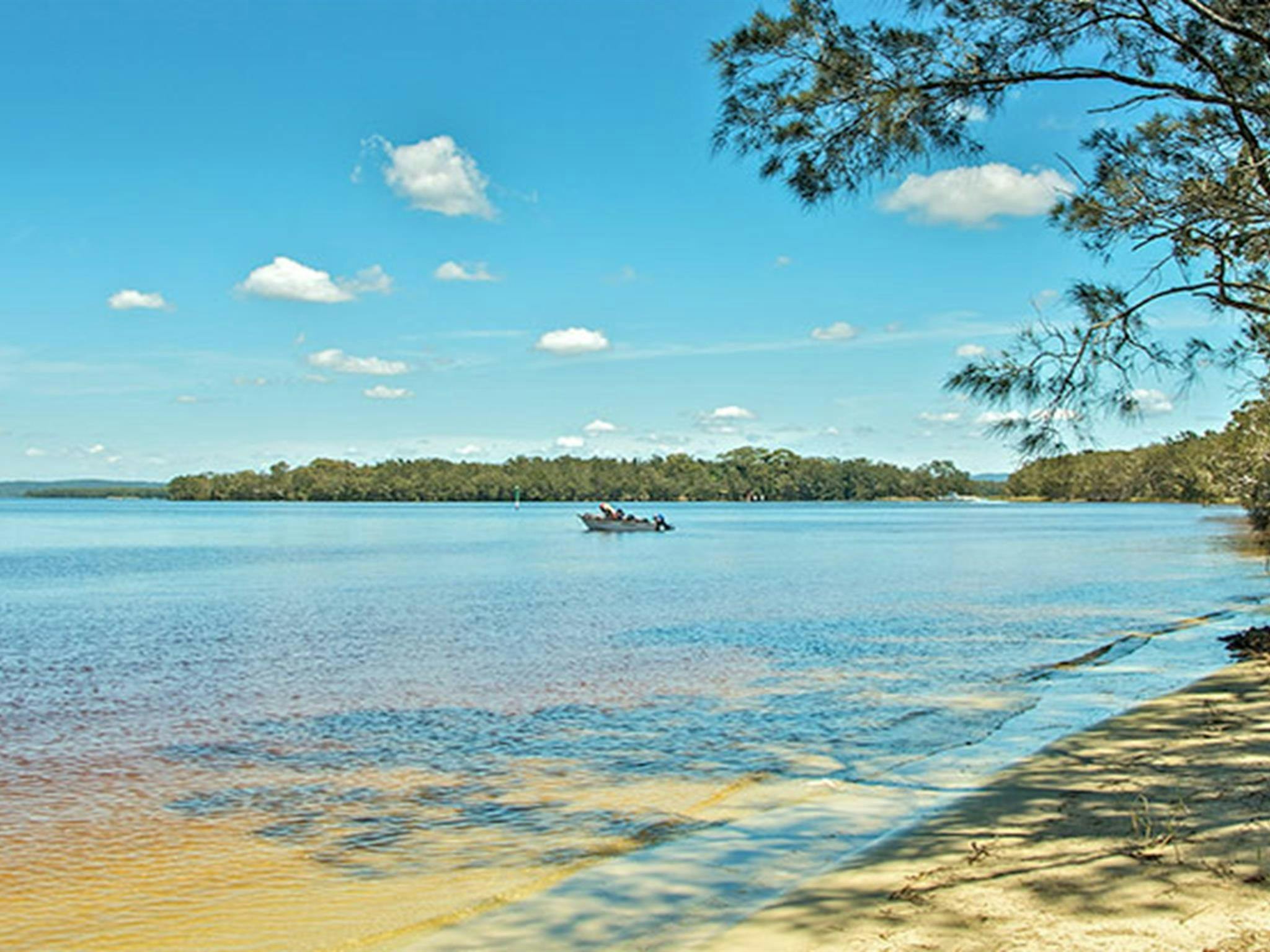 Northern Broadwater picnic area, Myall Lakes National Park. Photo: John Spencer