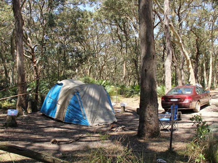 North Head Campground, Murramarang National Park. Photo: John Yurasek/NSW Government