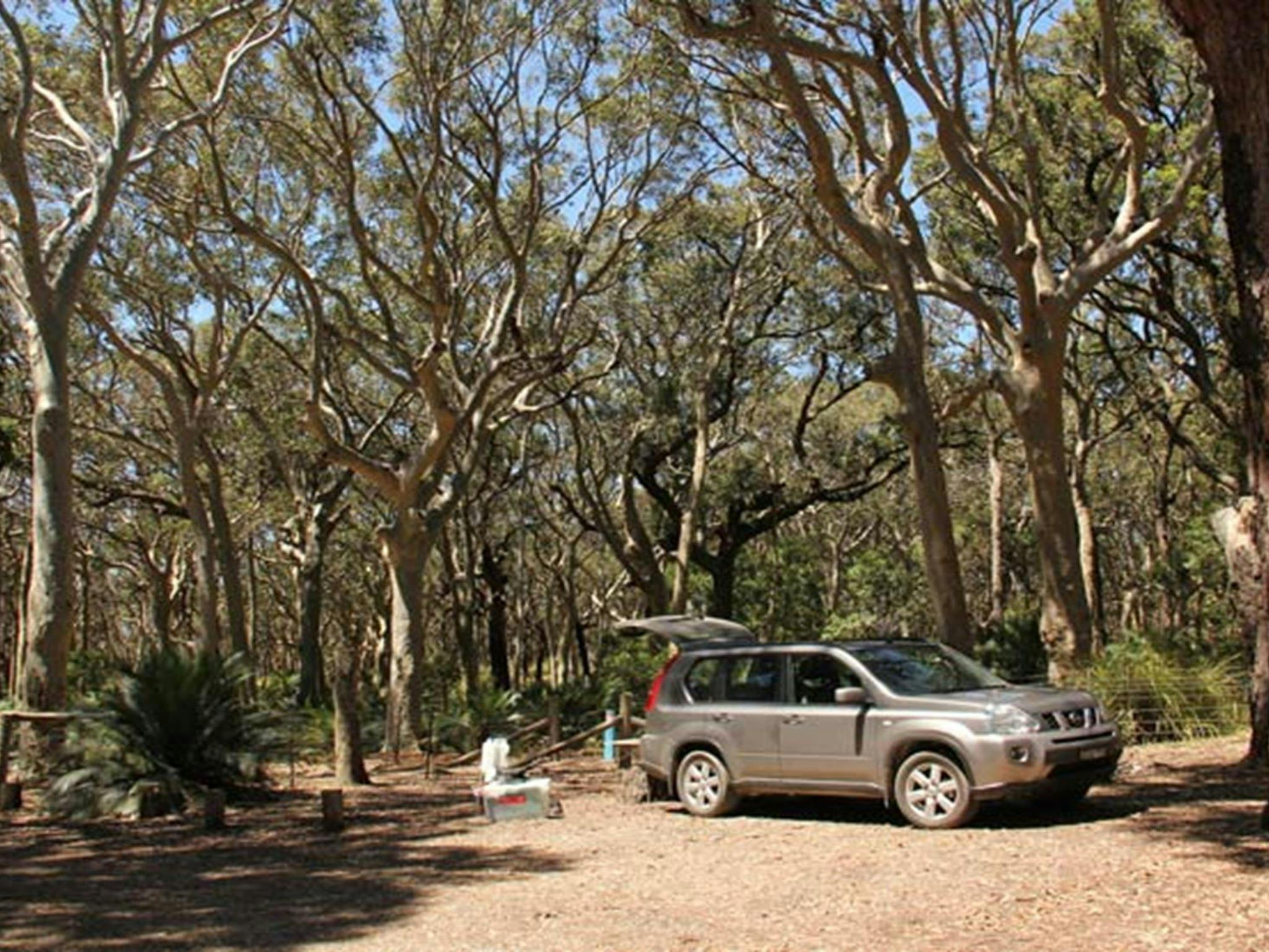 North Head Campground, Murramarang National Park. Photo: John Yurasek/NSW Government