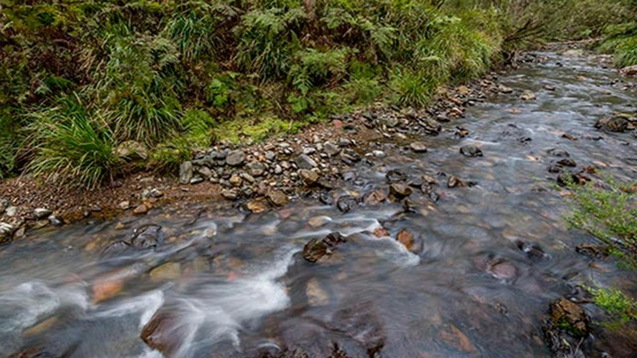 Nowendoc National Park