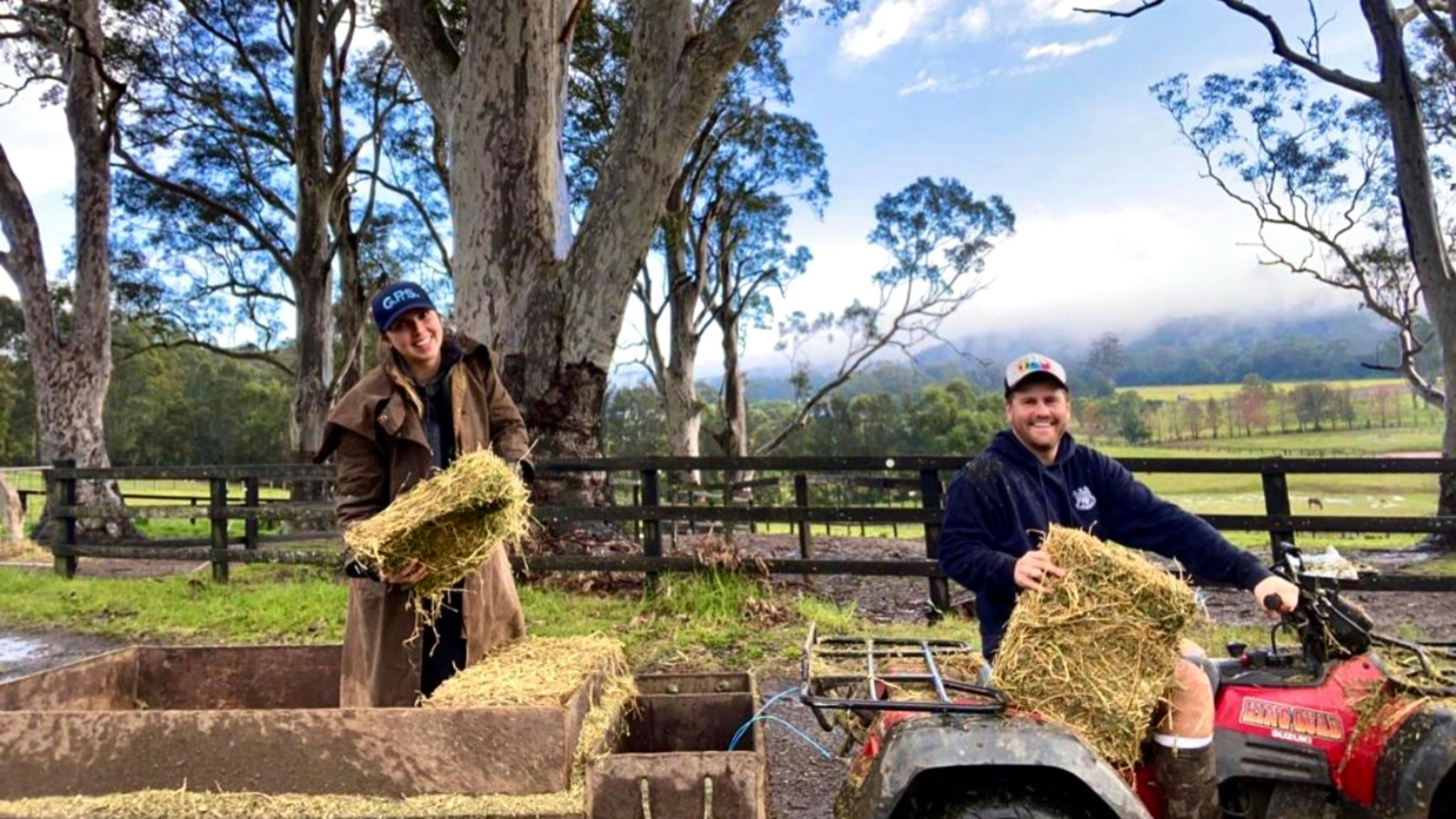 Yarramalong Valley Horse Farmstay