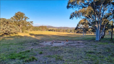 Buenpaso - good step