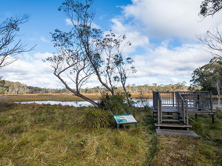 Viewing platform overlooking Nunnock's swamp and grasslands. Photo: John Spencer/OEH