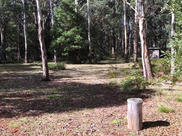 Nunnock campground sites surrounded by woodland.  Photo: Lawani Colley/OEH
