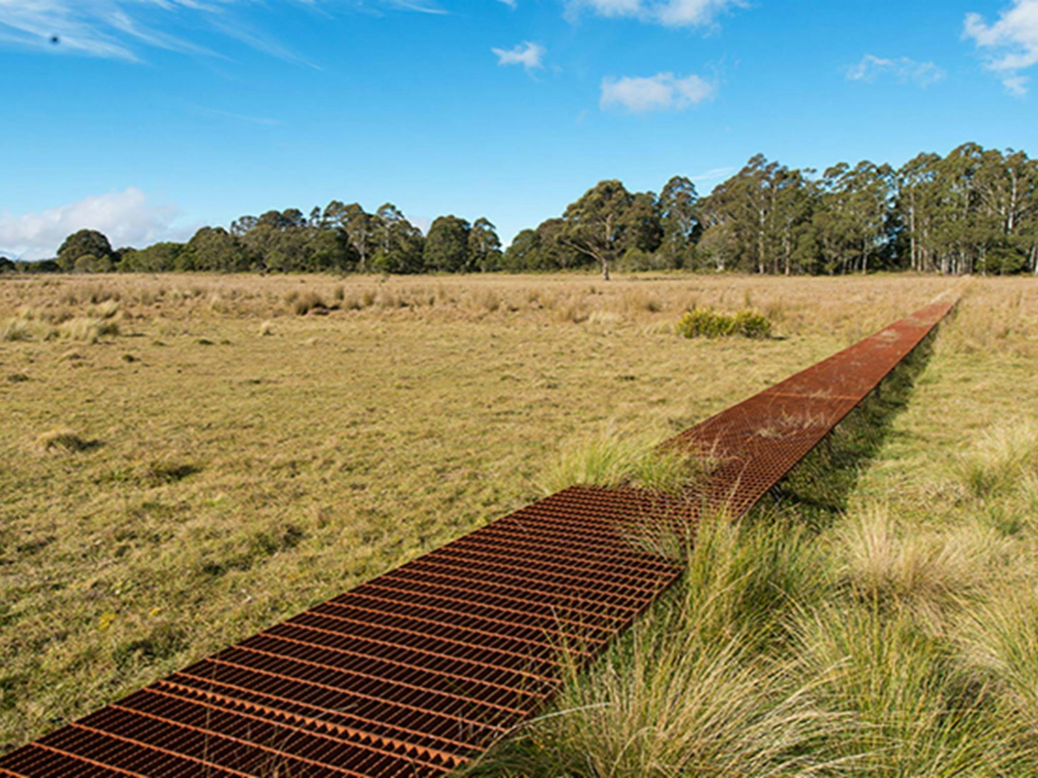 Metal walkway stretching across grassed plain on a dry area of Nunnock swamp. John Spencer/OEH
